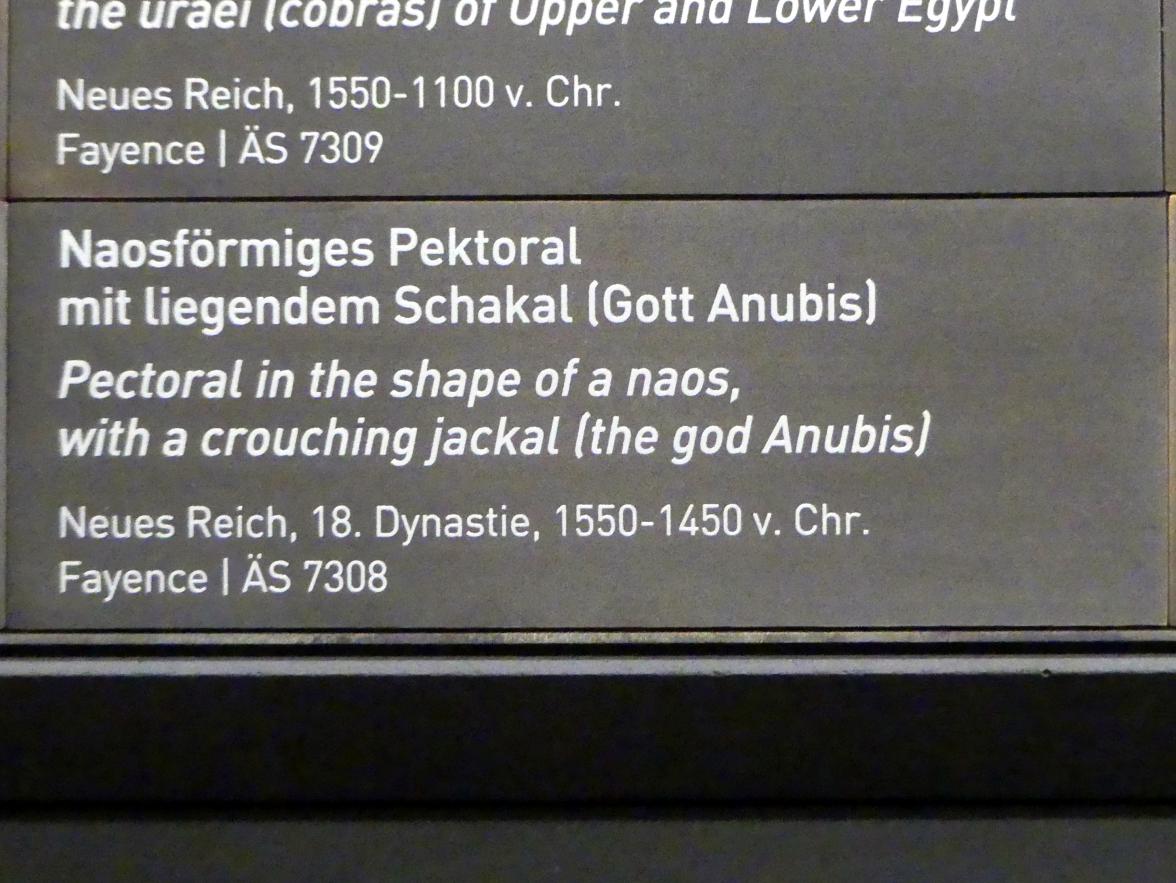 Naosförmiges Pektoral mit liegendem Schakal (Gott Anubis), 18. Dynastie, Undatiert, 1550 - 1450 v. Chr., Bild 2/2