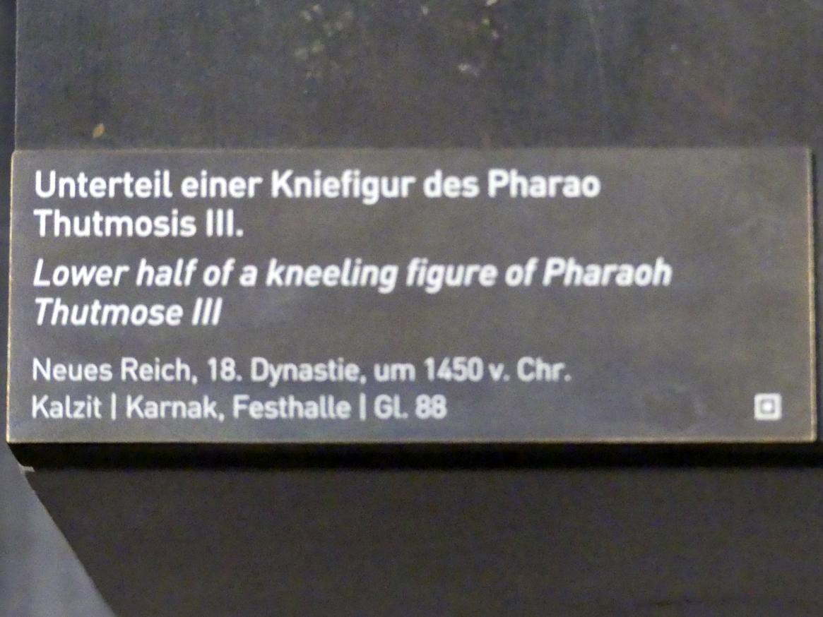 Unterteil einer Kniefigur des Pharao Thutmosis III., 18. Dynastie, Undatiert, 1450 v. Chr., Bild 4/4