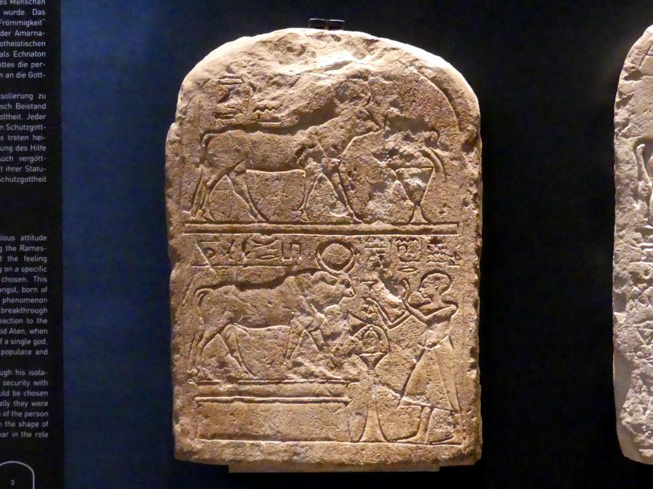 Zwei Votivstelen für den Mnevis-Stier, 19. Dynastie, 953 - 887 v. Chr., 20. Dynastie, Undatiert, 1200 - 1100 v. Chr., Bild 2/4