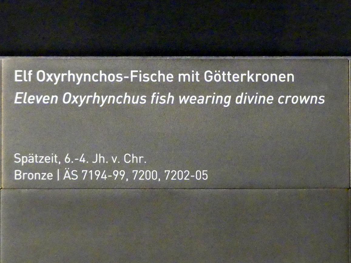 Elf Oxyrhynchos-Fische mit Götterkronen, Spätzeit, 360 - 342 v. Chr., 600 - 300 v. Chr., Bild 4/4