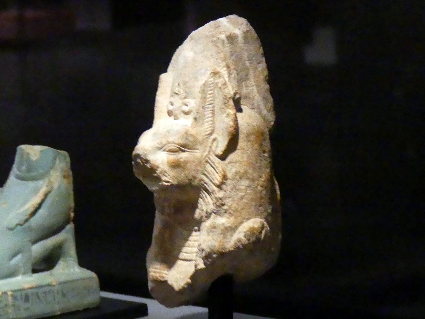 Oberteil einer Figur des Gottes Anubis, Ptolemäische Zeit, 400 v. Chr. - 1 n. Chr., 300 - 100 v. Chr., Bild 2/3