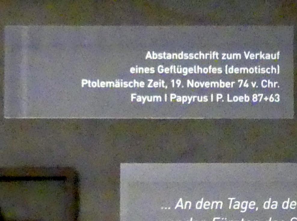 Abstandsschrift zum Verkauf eines Geflügelhofes (demotisch), Ptolemäische Zeit, 400 v. Chr. - 1 n. Chr., 74 v. Chr., Bild 2/2