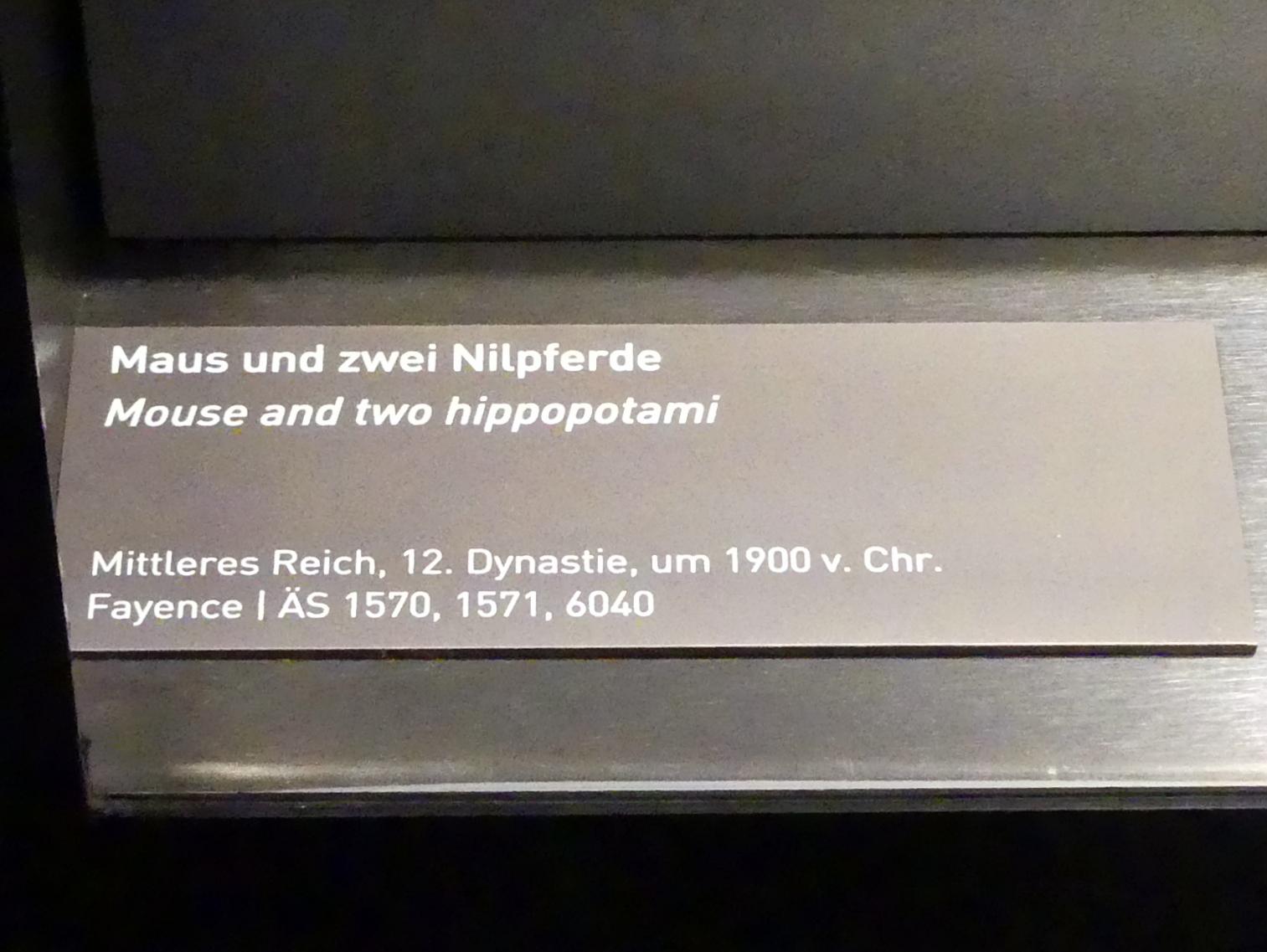 Zwei Nilpferde, 12. Dynastie, 1678 - 1634 v. Chr., 1900 v. Chr., Bild 2/2