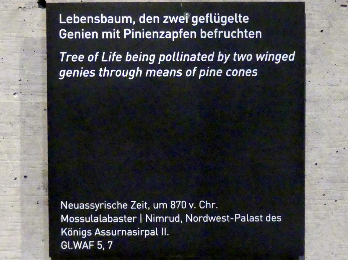 Lebensbaum, den zwei geflügelte Genien mit Pinienzapfen befruchten, Neuassyrisches Großreich, 1500 - 600 v. Chr., 870 v. Chr., Bild 2/2