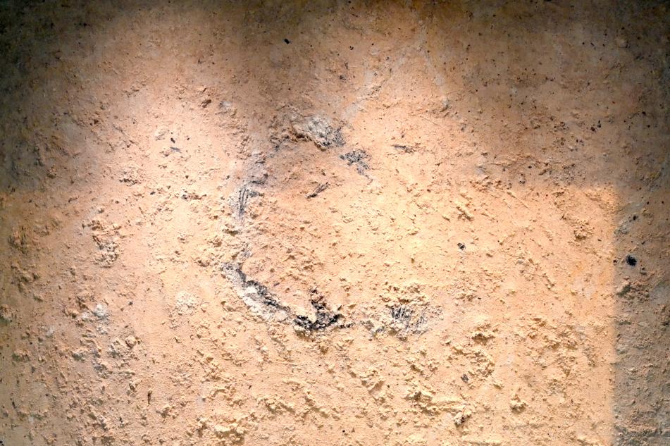 Lackfilm mit Holzkohle und Birkenpech, 100000 v. Chr.