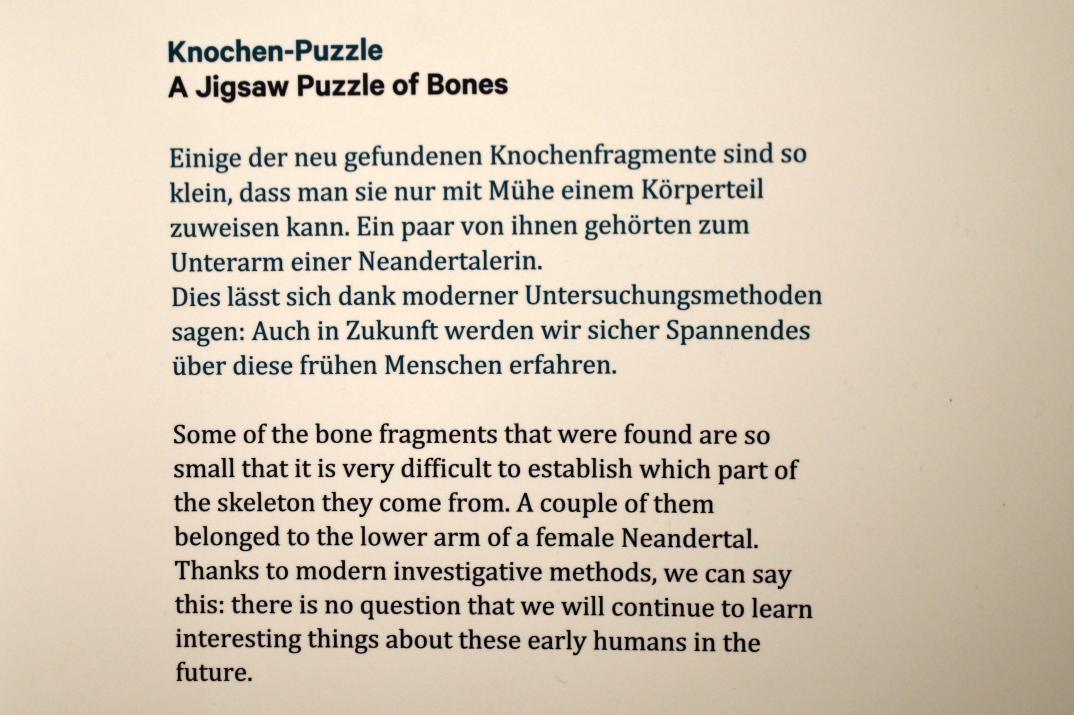 Unterarmknochen einer 1997 entdeckten Neandertalerin, 45000 v. Chr., Bild 3/3