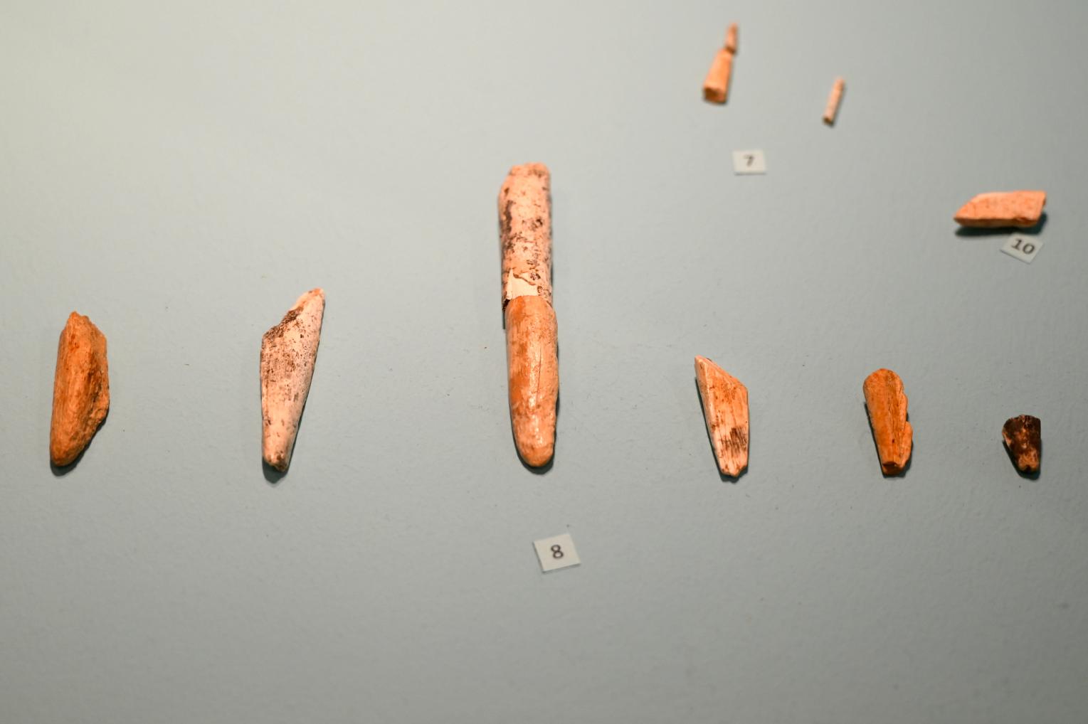 Basale Fragmente von Geschoßspitzen, 23000 v. Chr.