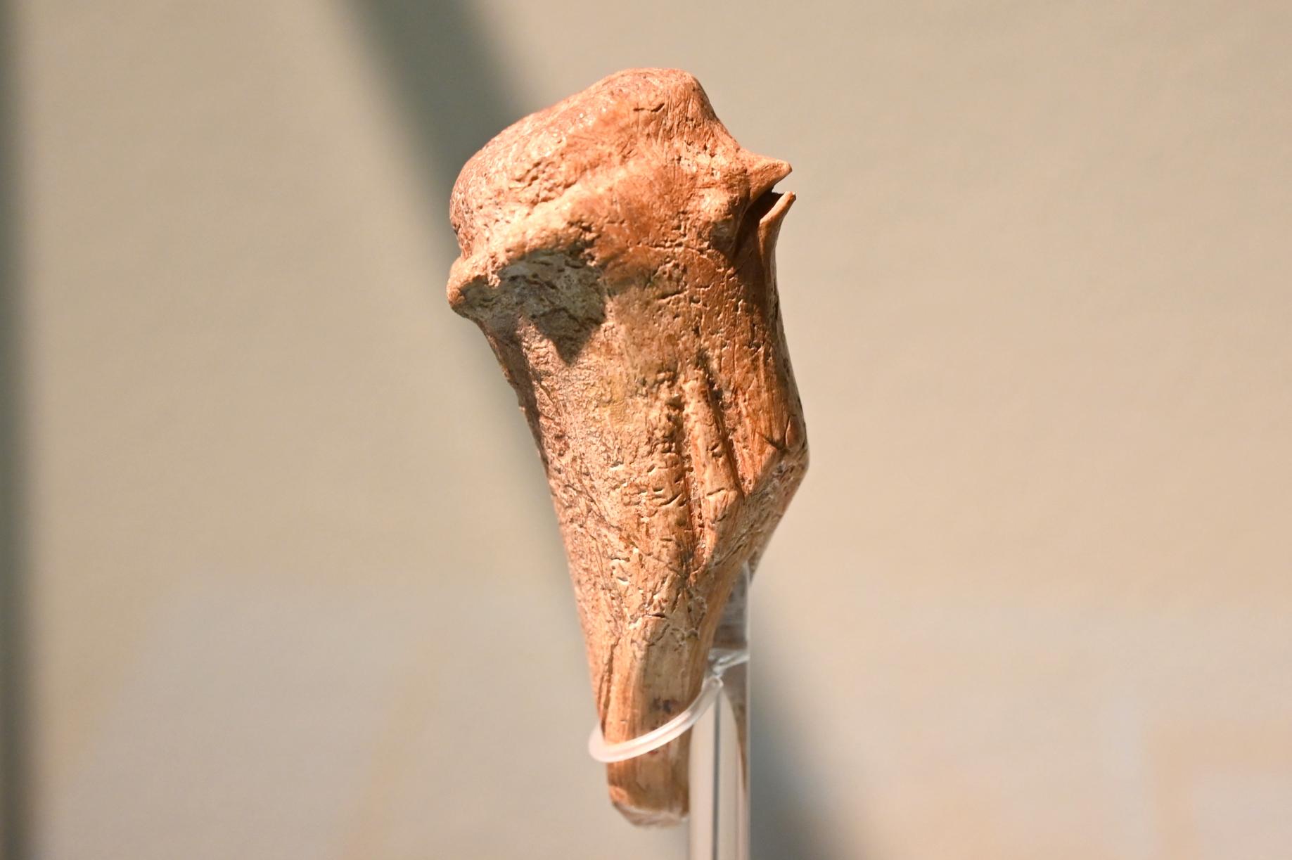 Geschnitzter Vogelkopf, 13000 v. Chr.