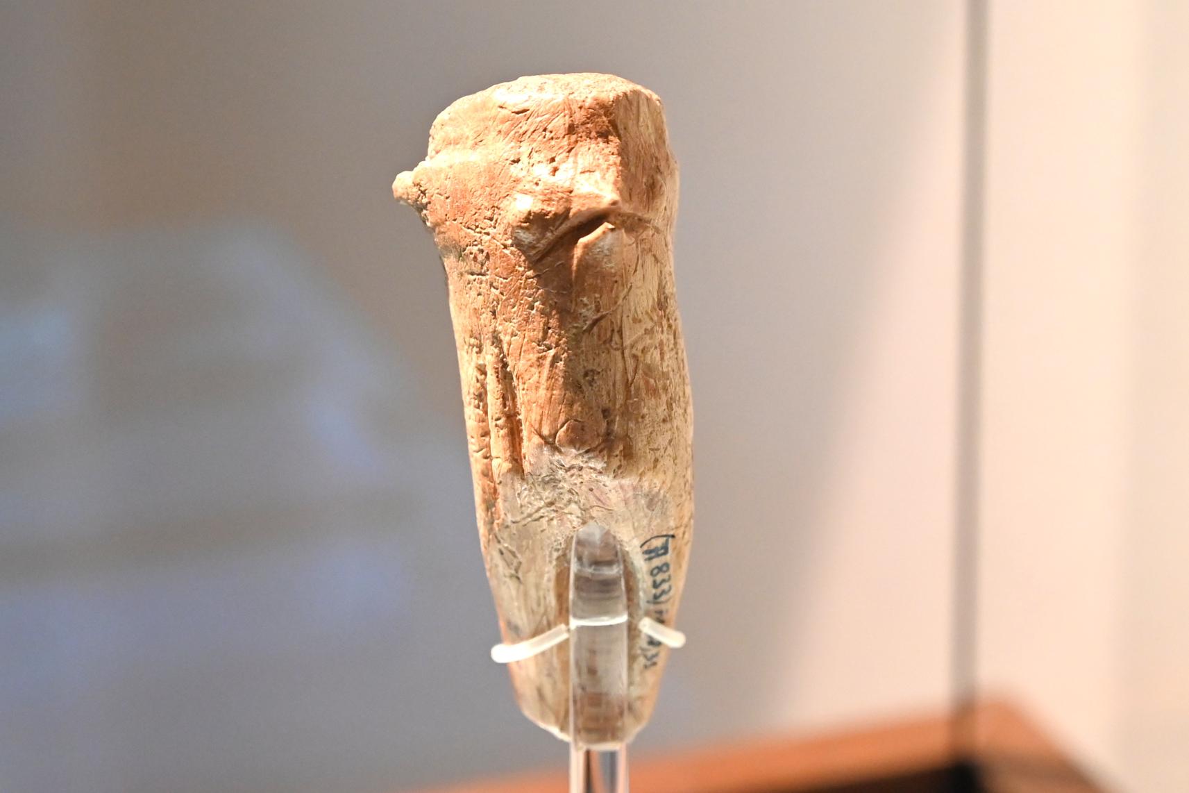 Geschnitzter Vogelkopf, 13000 v. Chr., Bild 2/4