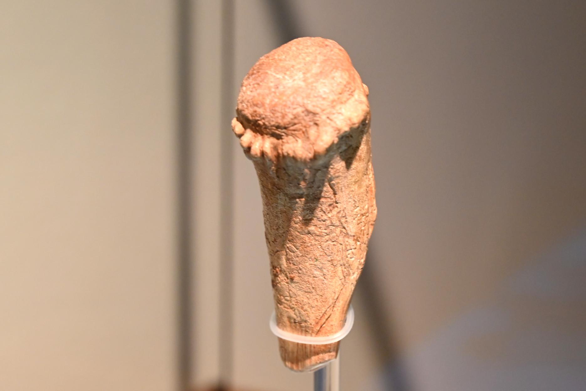 Geschnitzter Vogelkopf, 13000 v. Chr., Bild 3/4