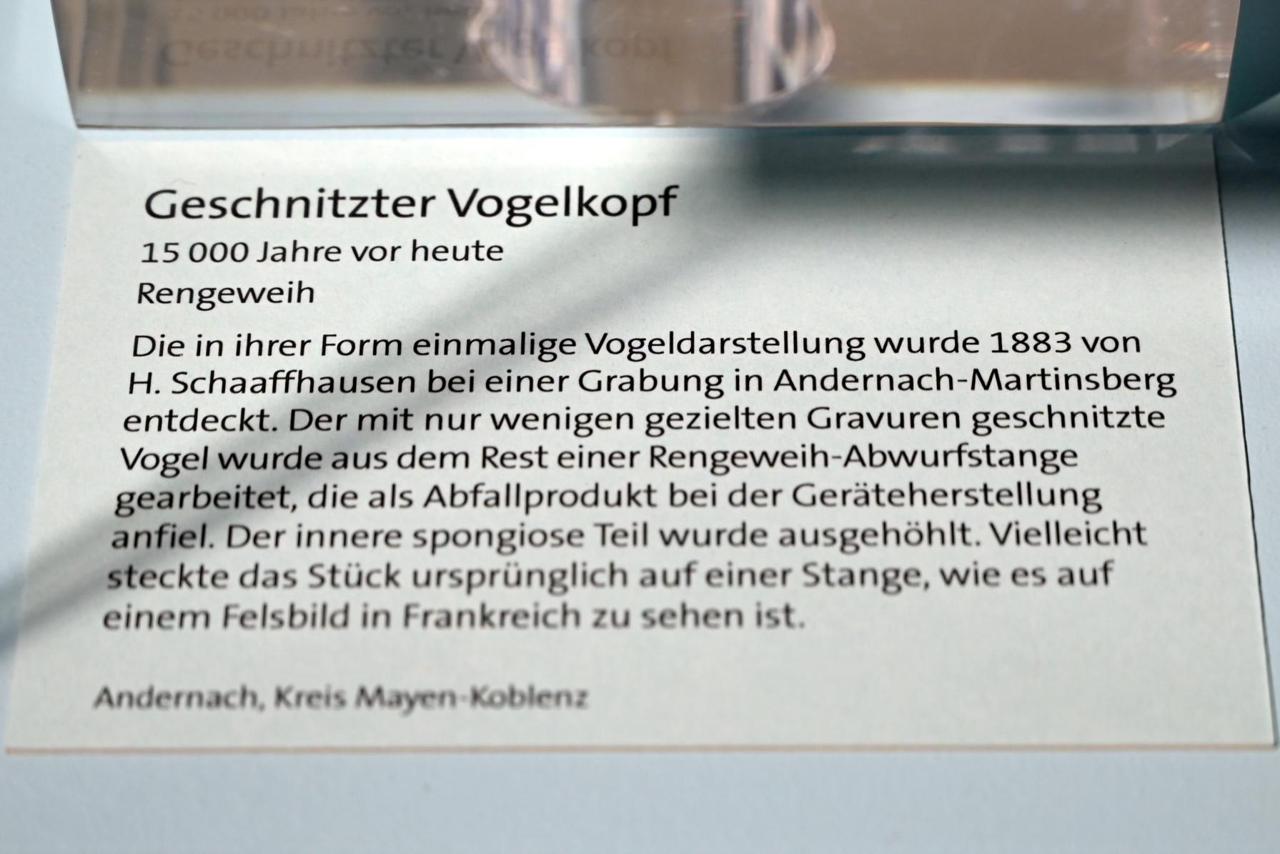 Geschnitzter Vogelkopf, 13000 v. Chr., Bild 4/4