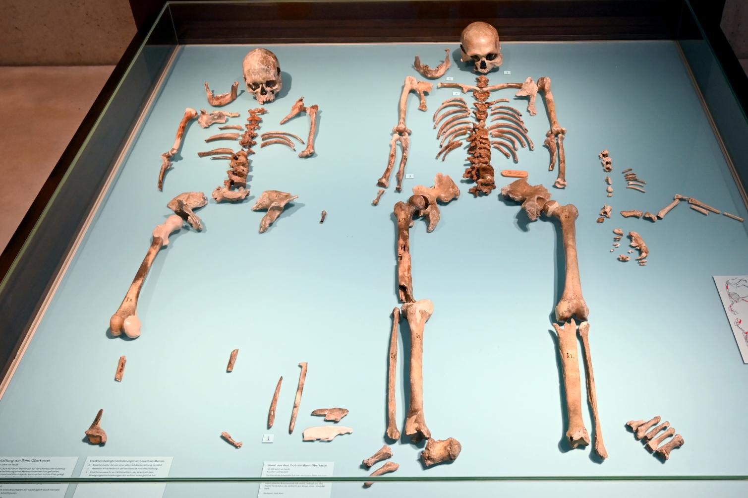 Die Toten von der Rabenlay, Jungpaläolithikum, 43000 - 10000 v. Chr., 12000 v. Chr.