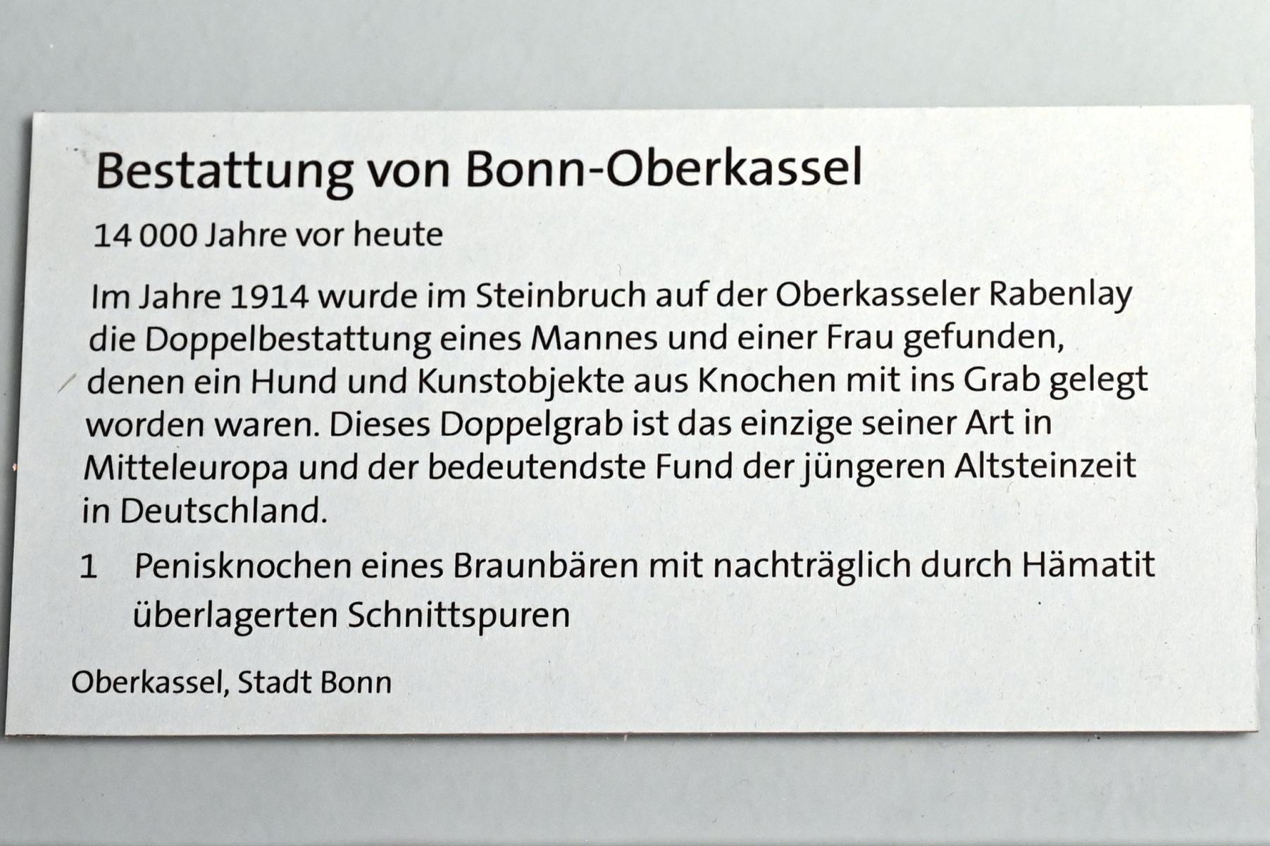 Die Toten von der Rabenlay, Jungpaläolithikum, 43000 - 10000 v. Chr., 12000 v. Chr., Bild 5/7