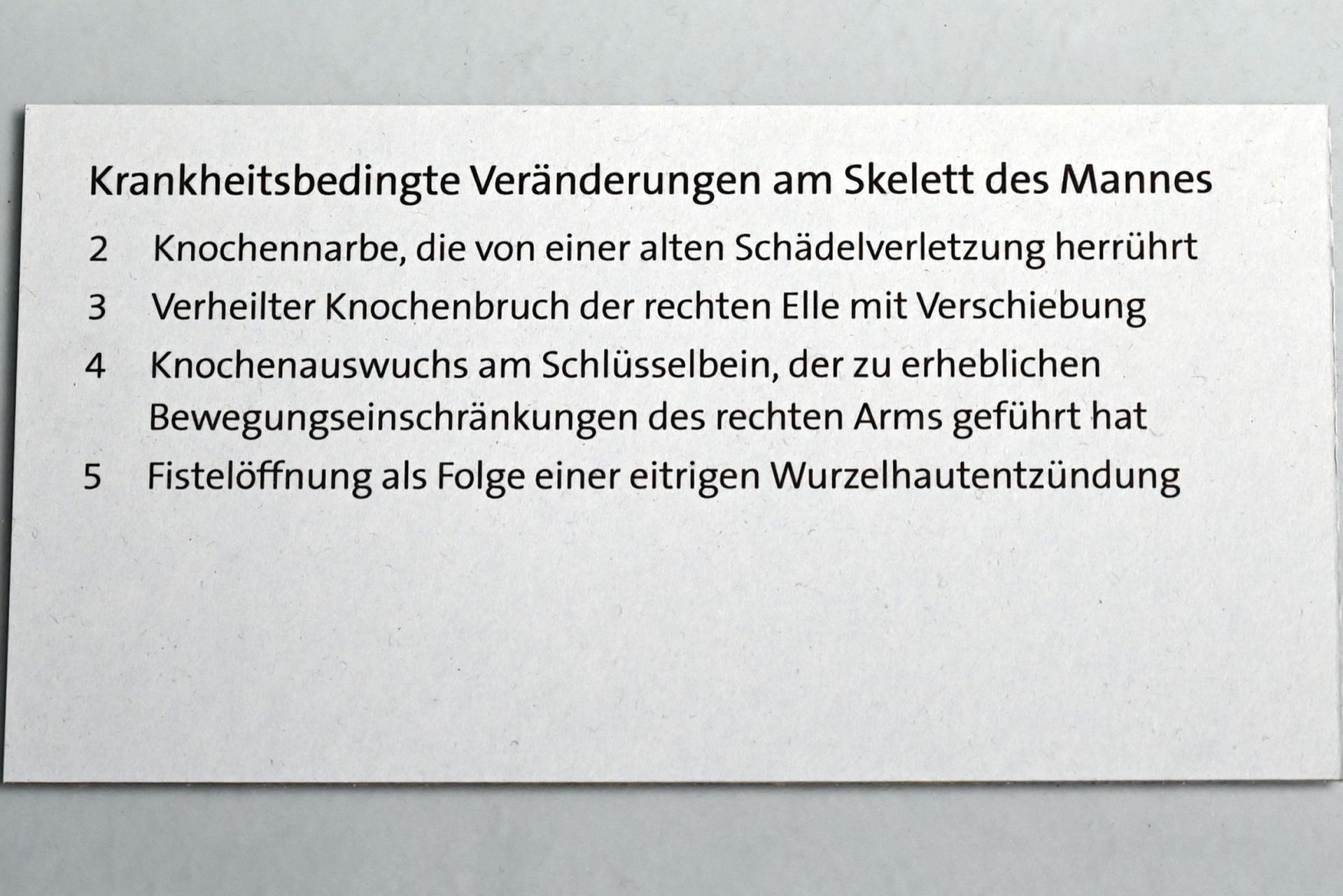 Die Toten von der Rabenlay, Jungpaläolithikum, 43000 - 10000 v. Chr., 12000 v. Chr., Bild 6/7