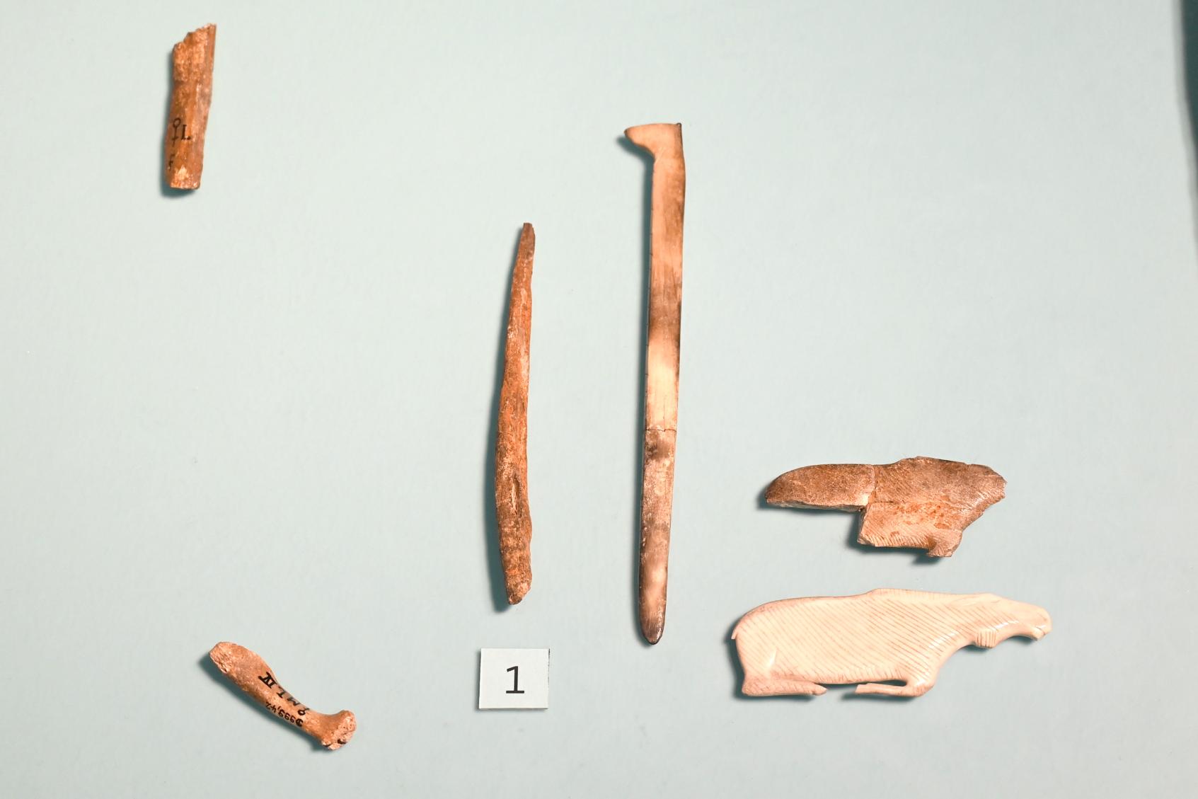 Kunst aus dem Grab von Bonn-Oberkassel, Jungpaläolithikum, 43000 - 10000 v. Chr., 12000 v. Chr., Bild 1/2