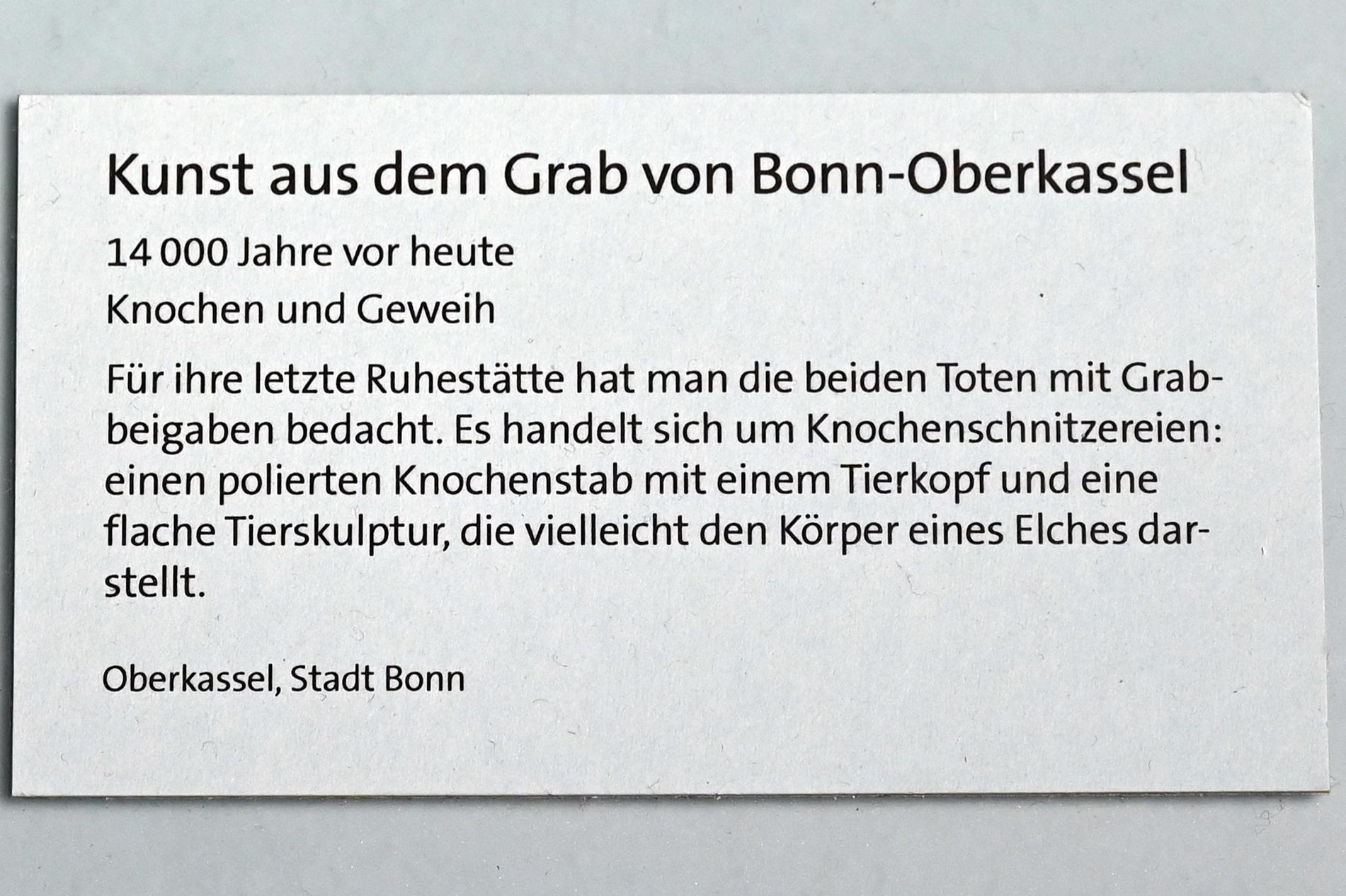 Kunst aus dem Grab von Bonn-Oberkassel, Jungpaläolithikum, 43000 - 10000 v. Chr., 12000 v. Chr., Bild 2/2