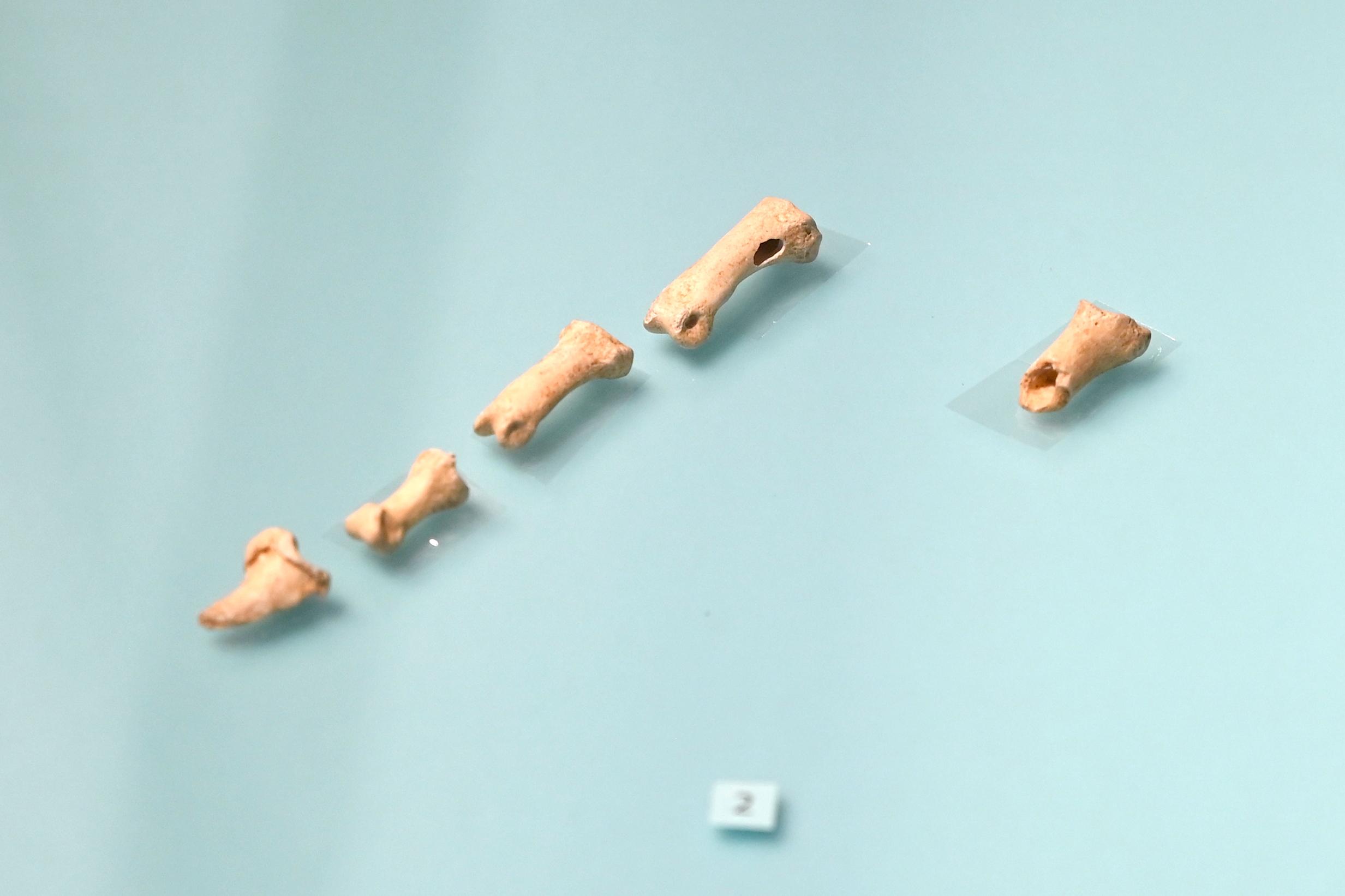 Zehenknochen eines Hundes, Spätpaläolithikum, 13000 - 10000 v. Chr., 10000 v. Chr., Bild 1/2