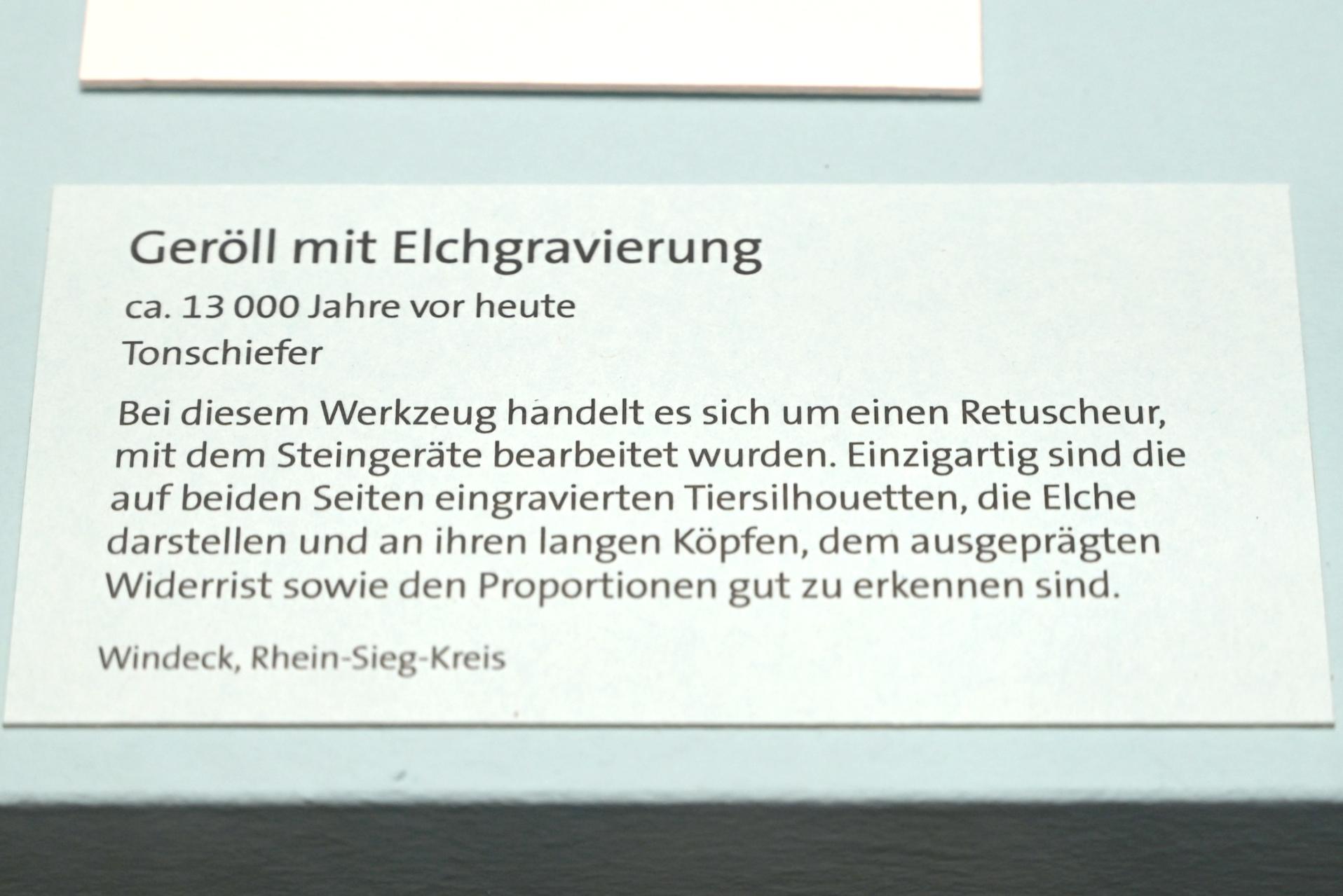 Retuscheur mit Elchgravierung, Spätpaläolithikum, 13000 - 10000 v. Chr., 11000 v. Chr., Bild 3/4
