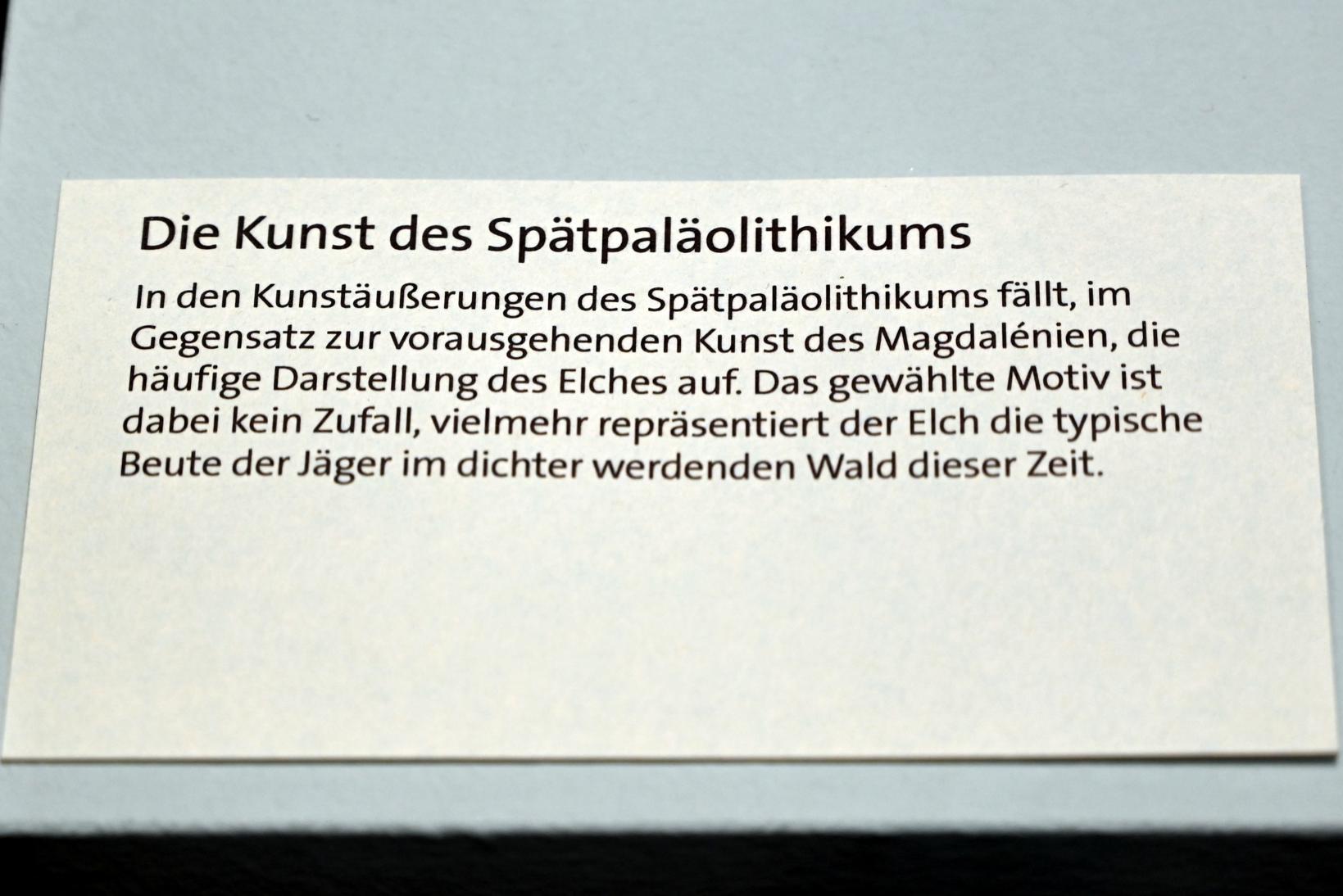 Retuscheur mit Elchgravierung, Spätpaläolithikum, 13000 - 10000 v. Chr., 11000 v. Chr., Bild 4/4