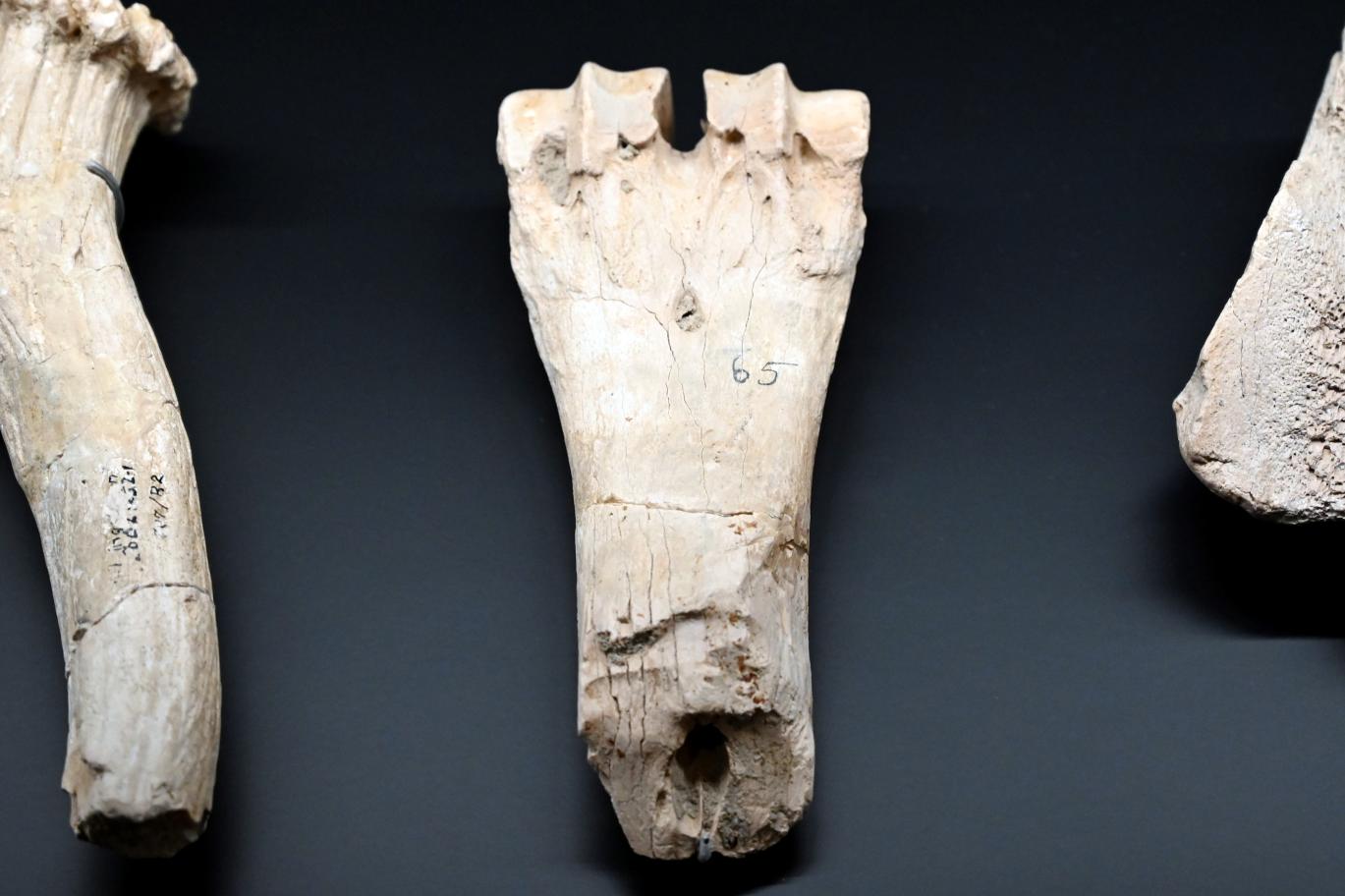 Meißelartiges Gerät, Reinsdorf-Warmzeit, 370000 v. Chr., 370000 v. Chr., Bild 1/2