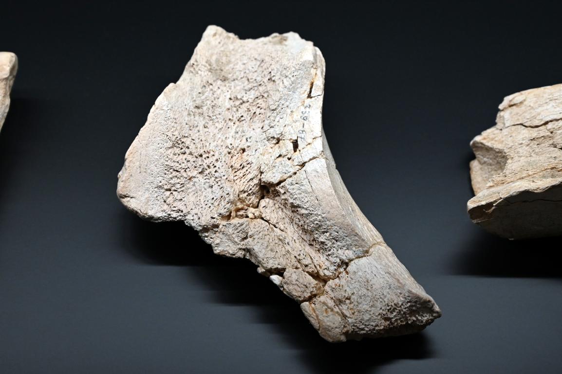 Beilartiges Gerät, Reinsdorf-Warmzeit, 370000 v. Chr., 370000 v. Chr., Bild 1/2