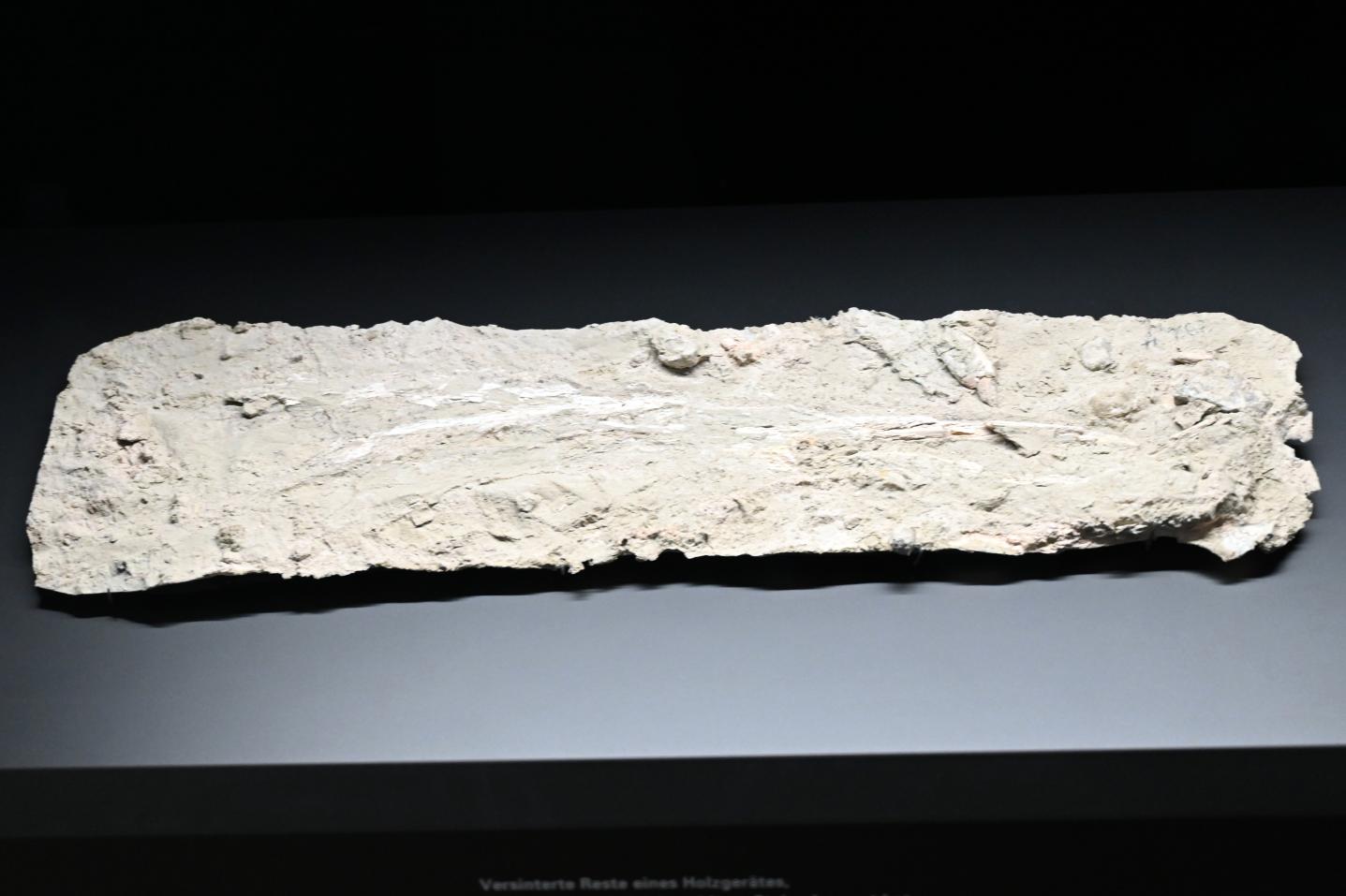 Versinterte Reste eines Holzgerätes, Reinsdorf-Warmzeit, 370000 v. Chr., 370000 v. Chr., Bild 1/2