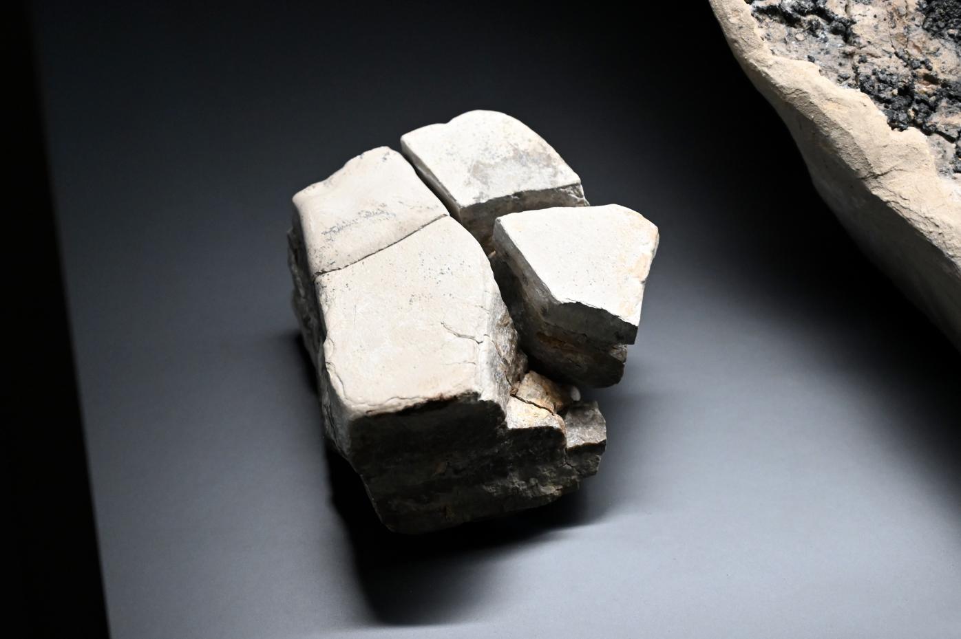 Muschelkalkblock, Reinsdorf-Warmzeit, 370000 v. Chr., 370000 v. Chr., Bild 1/2