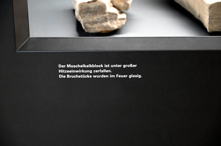 Muschelkalkblock, Reinsdorf-Warmzeit, 370000 v. Chr., 370000 v. Chr., Bild 2/2