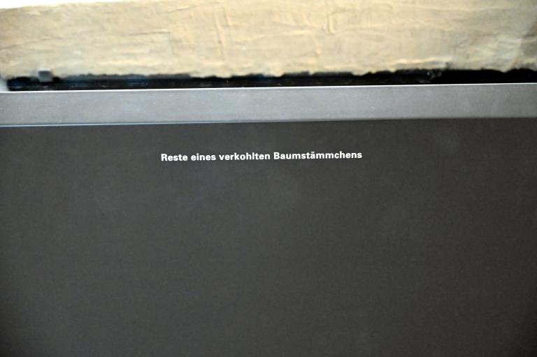 Reste eines verkohlten Baumstämmchens, Reinsdorf-Warmzeit, 370000 v. Chr., 370000 v. Chr., Bild 2/2