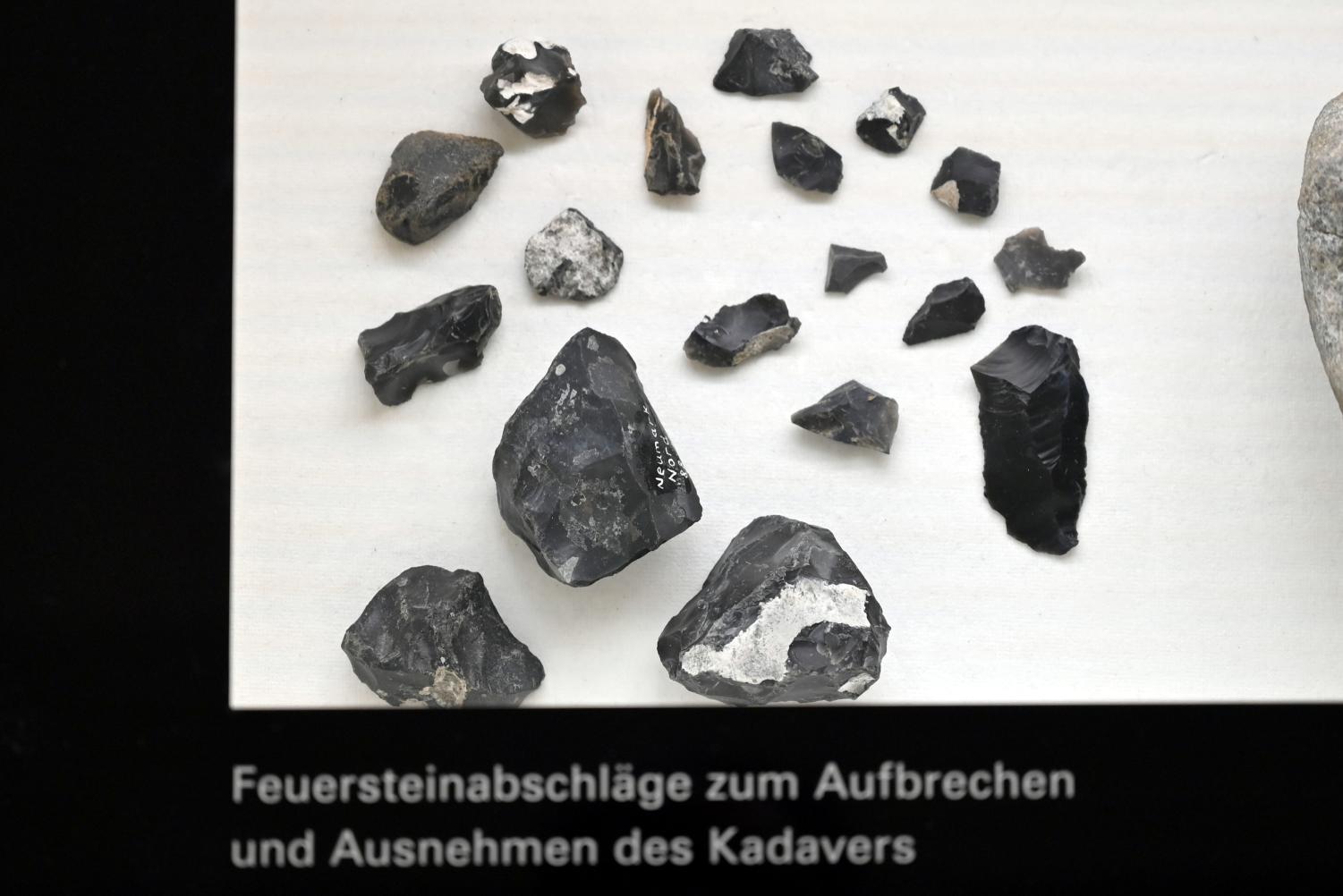 Feuersteinabschläge zum Aufbrechen und Ausnehmen des Kadavers, Intra-Saale-Warmzeit, 200000 - 40000 v. Chr., 200000 v. Chr.