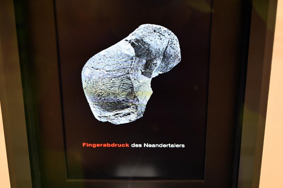 Schäftungskitt, Brörup-Interstadial, 200000 - 40000 v. Chr., 80000 v. Chr., Bild 3/6