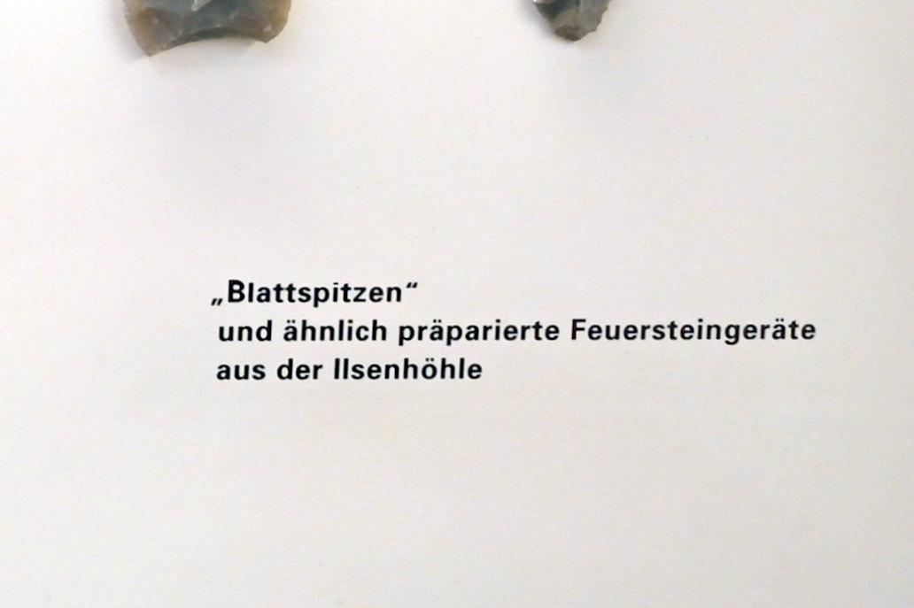Blattspitzen, Mittelpaläolithikum, 200000 - 31000 v. Chr., 80000 - 31000 v. Chr., Bild 5/6