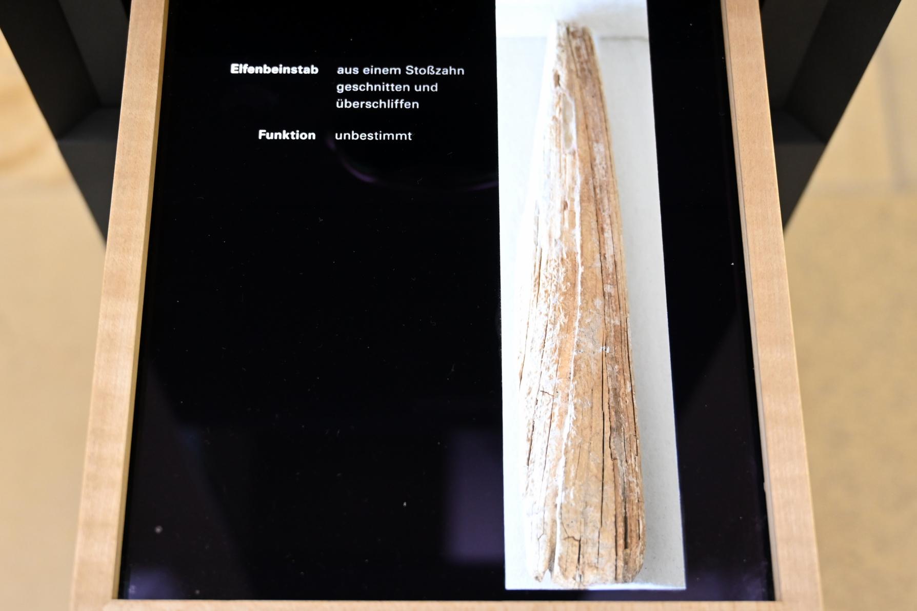 Elfenbeinstab, Magdalénien, 13000 - 10000 v. Chr., 13000 v. Chr.