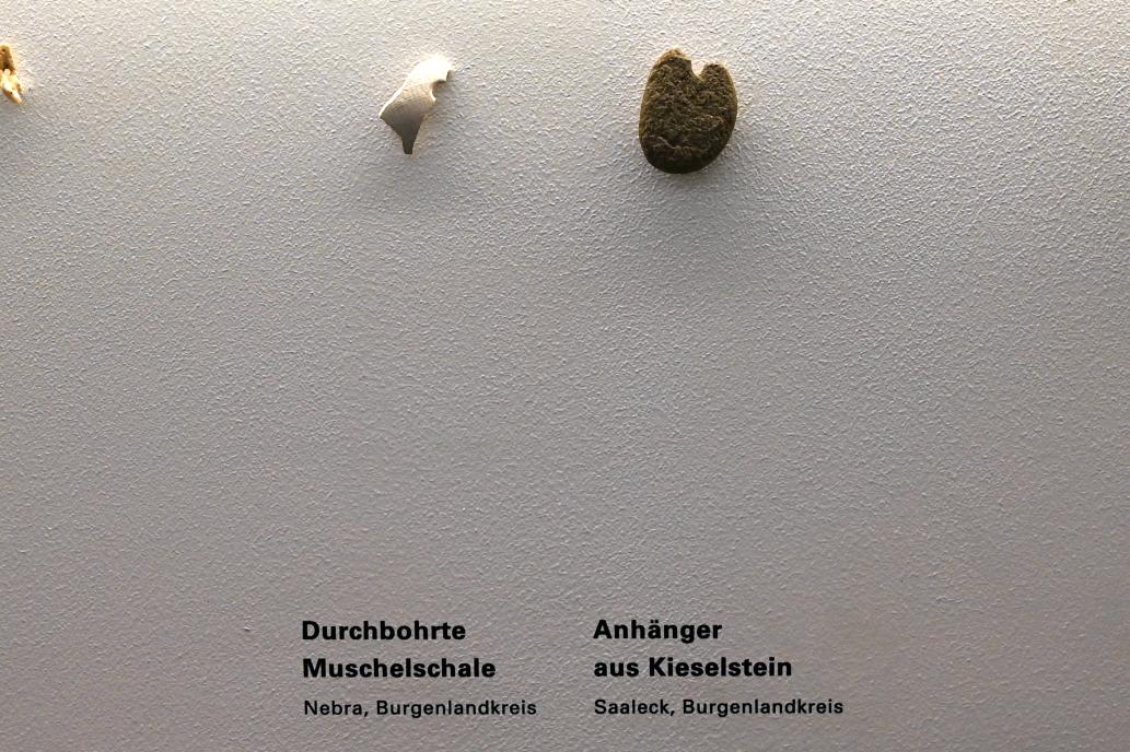 Durchbohrte Muschelschale, Magdalénien, 13000 - 10000 v. Chr.