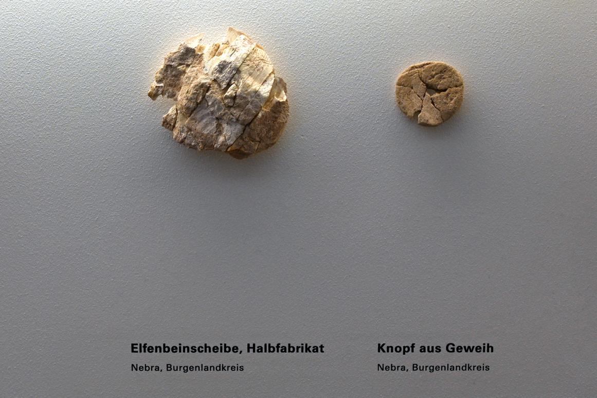 Elfenbeinscheibe, Halbfabrikat, Magdalénien, 13000 - 10000 v. Chr.