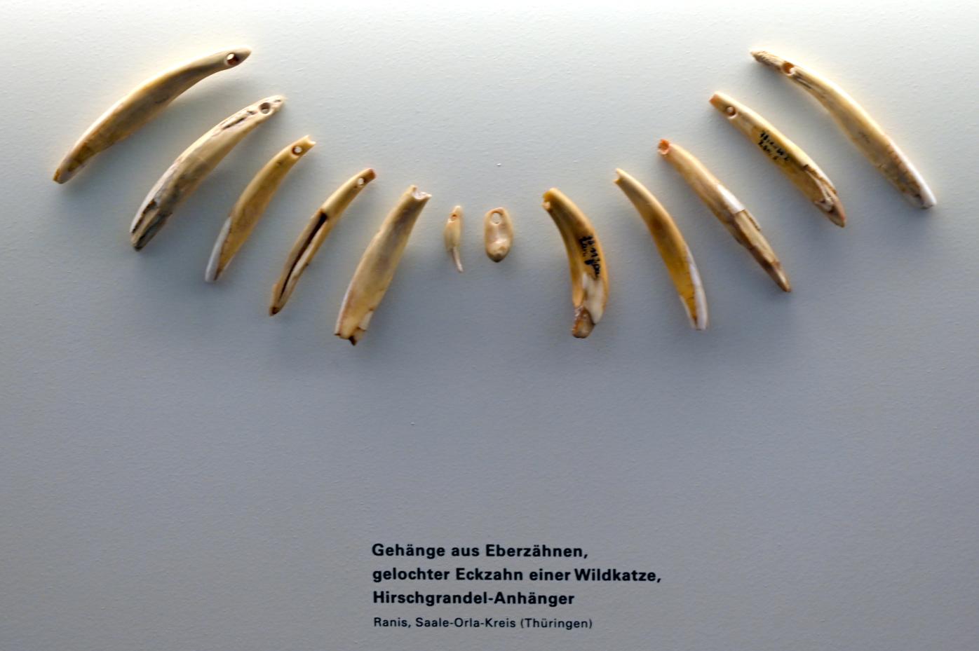 Gehänge aus Eberzähnen, Mesolithikum, 9500 - 5500 v. Chr.