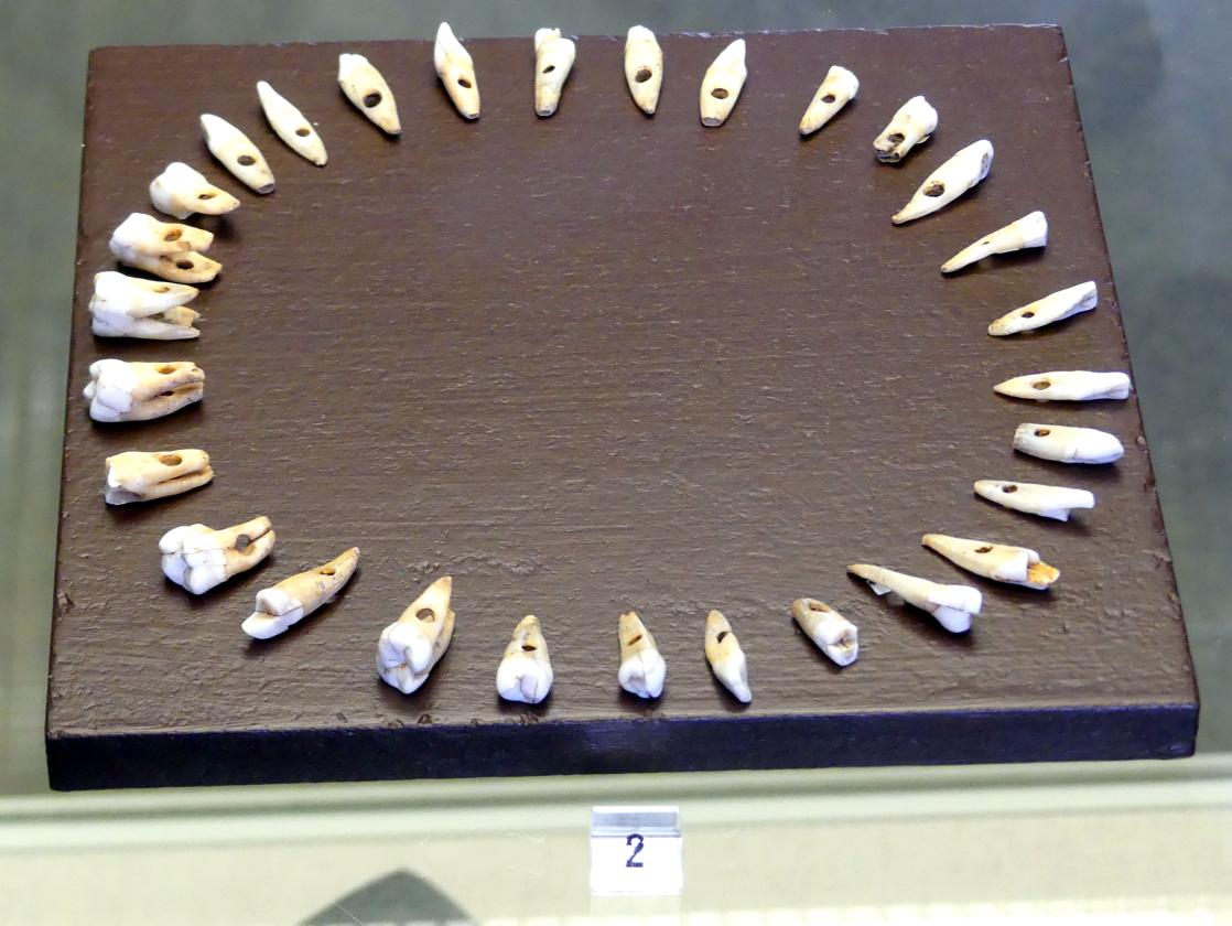 Kette aus 29 Menschenzähnen, Frühneolithikum (Altneolithikum), 5500 - 4900 v. Chr., Mittelneolithikum, 5500 - 4400 v. Chr.
