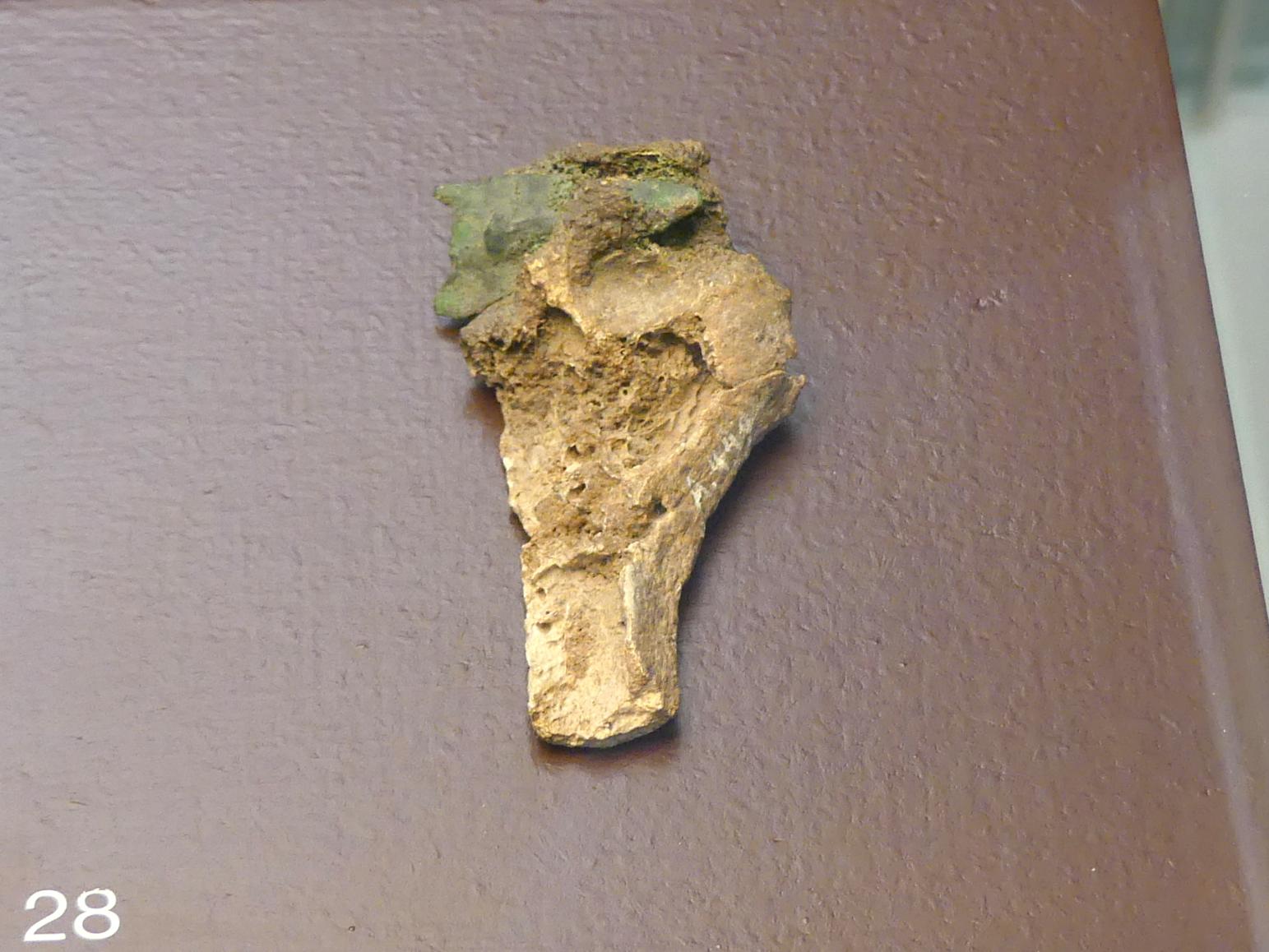 Oberarmknochen mit eingeschossener Pfeilspitze, Mittlere Bronzezeit, 3000 - 1300 v. Chr., Späte (Jüngere) Bronzezeit, 1500 - 700 v. Chr.