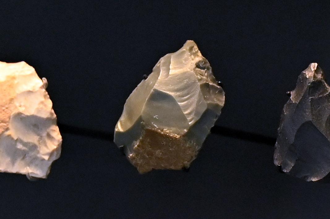 Nasenschaber, Würm-Kaltzeit früh, 200000 - 40000 v. Chr.