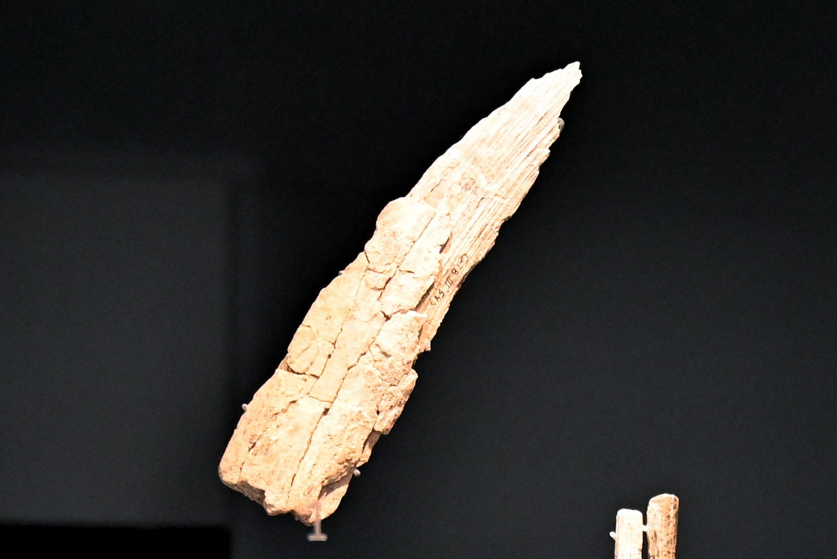 Rohstück mit Schnittspuren, Jungpaläolithikum, 43000 - 10000 v. Chr., 40000 - 35000 v. Chr.