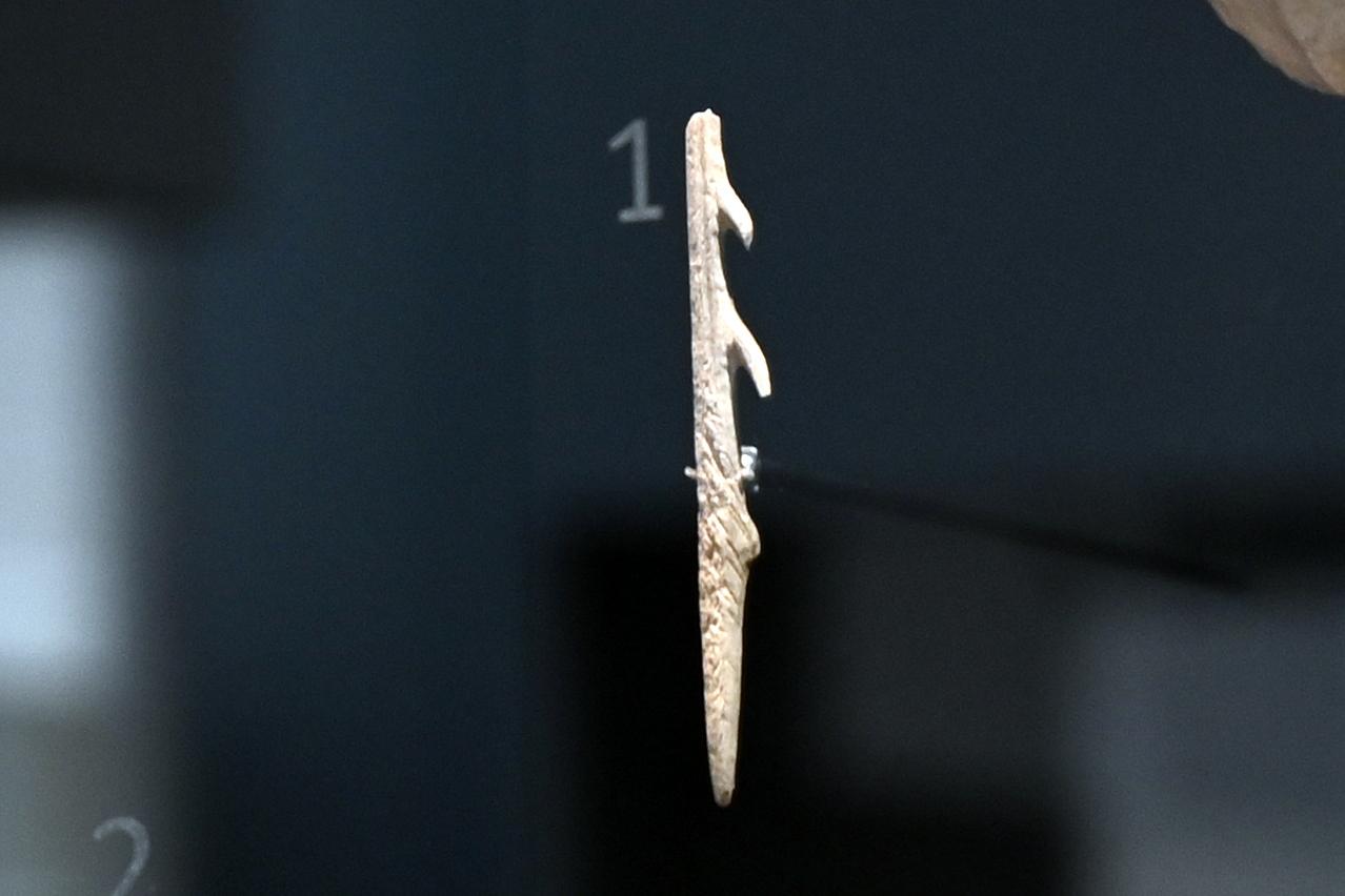 Harpunenfragment, 12000 - 10000 v. Chr., Bild 1/3