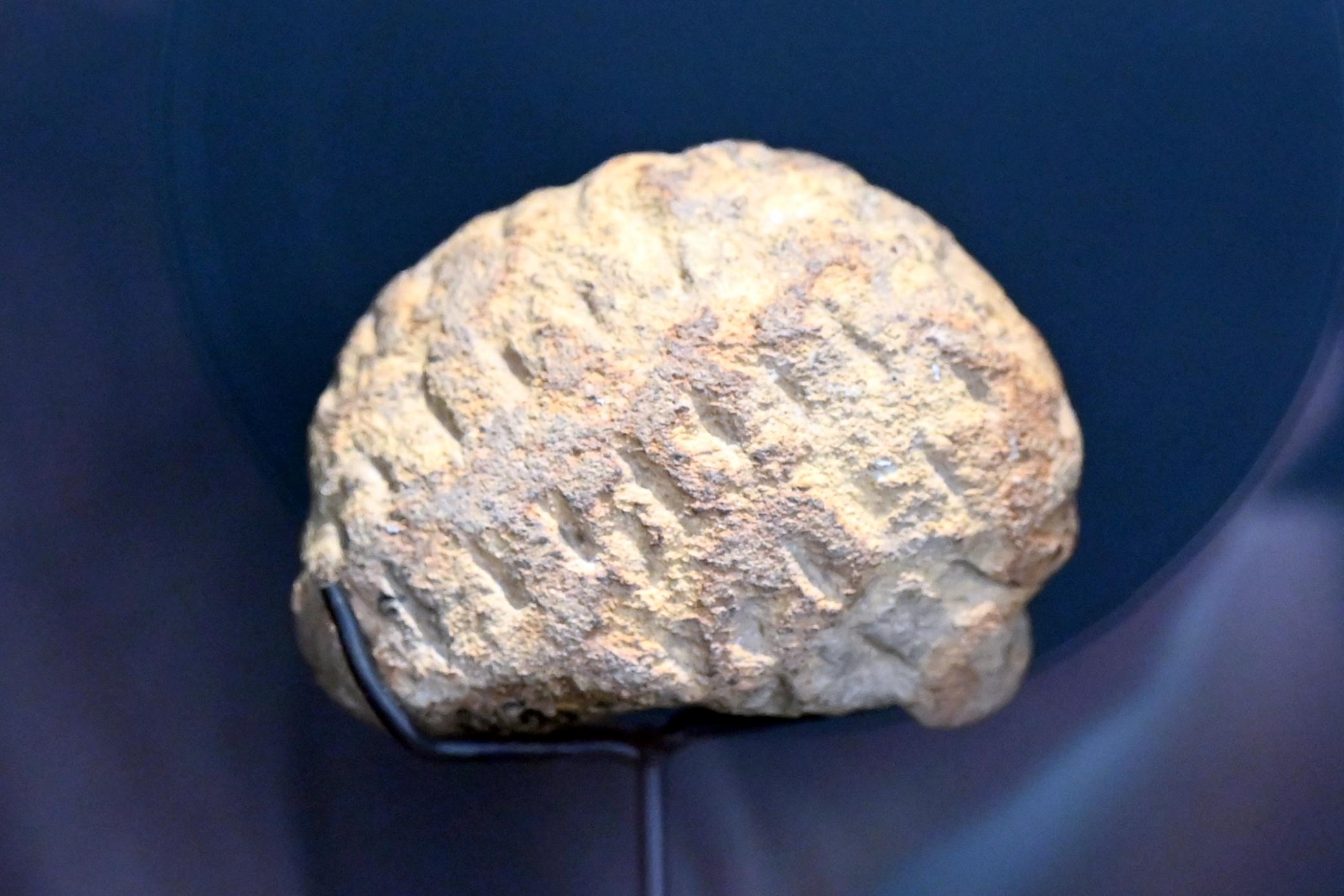 Mammut, 26000 - 22000 v. Chr., Bild 1/3