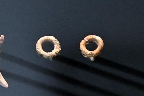 Zwei Elfenbeinringchen, 38000 - 33000 v. Chr., Bild 1/3