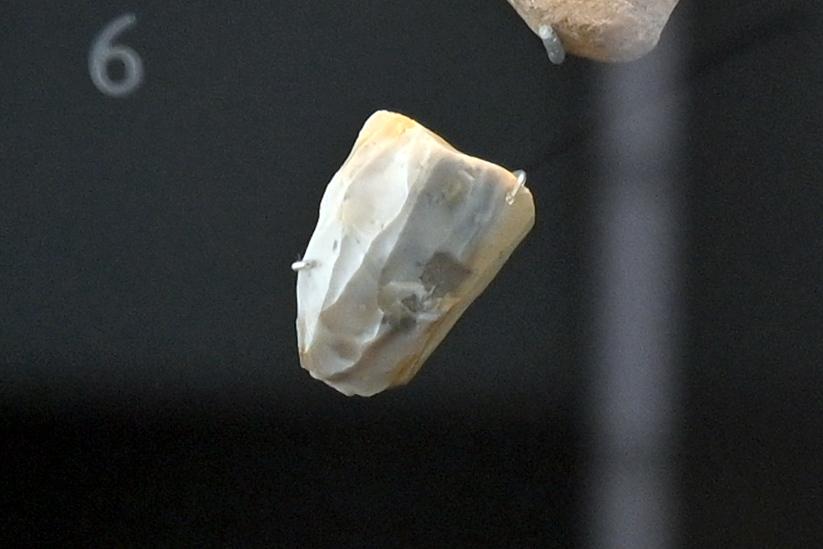 Zwei Kerne, 12000 - 10000 v. Chr., Bild 1/4
