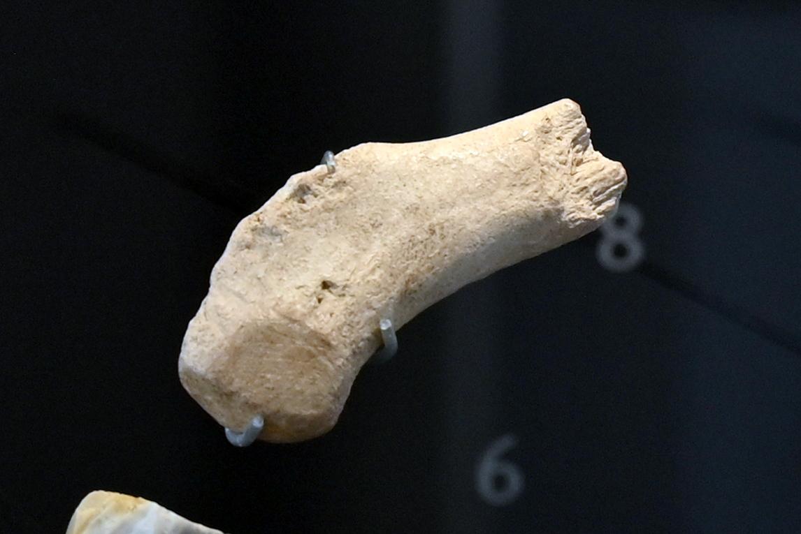 Schlaghammer, 12000 - 10000 v. Chr.