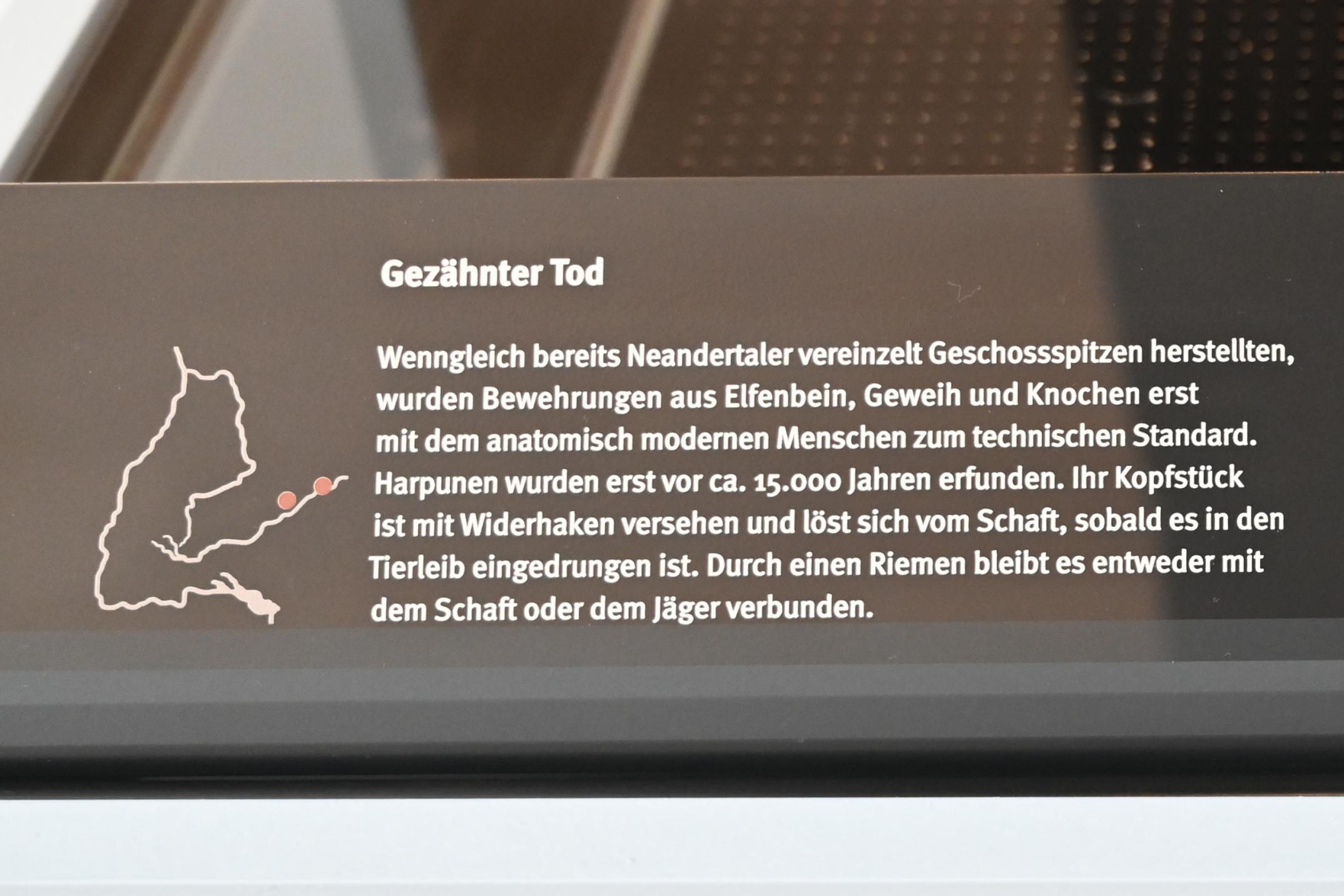 Geschossspitze mit gespaltener Basis, 38000 - 33000 v. Chr., Bild 3/3