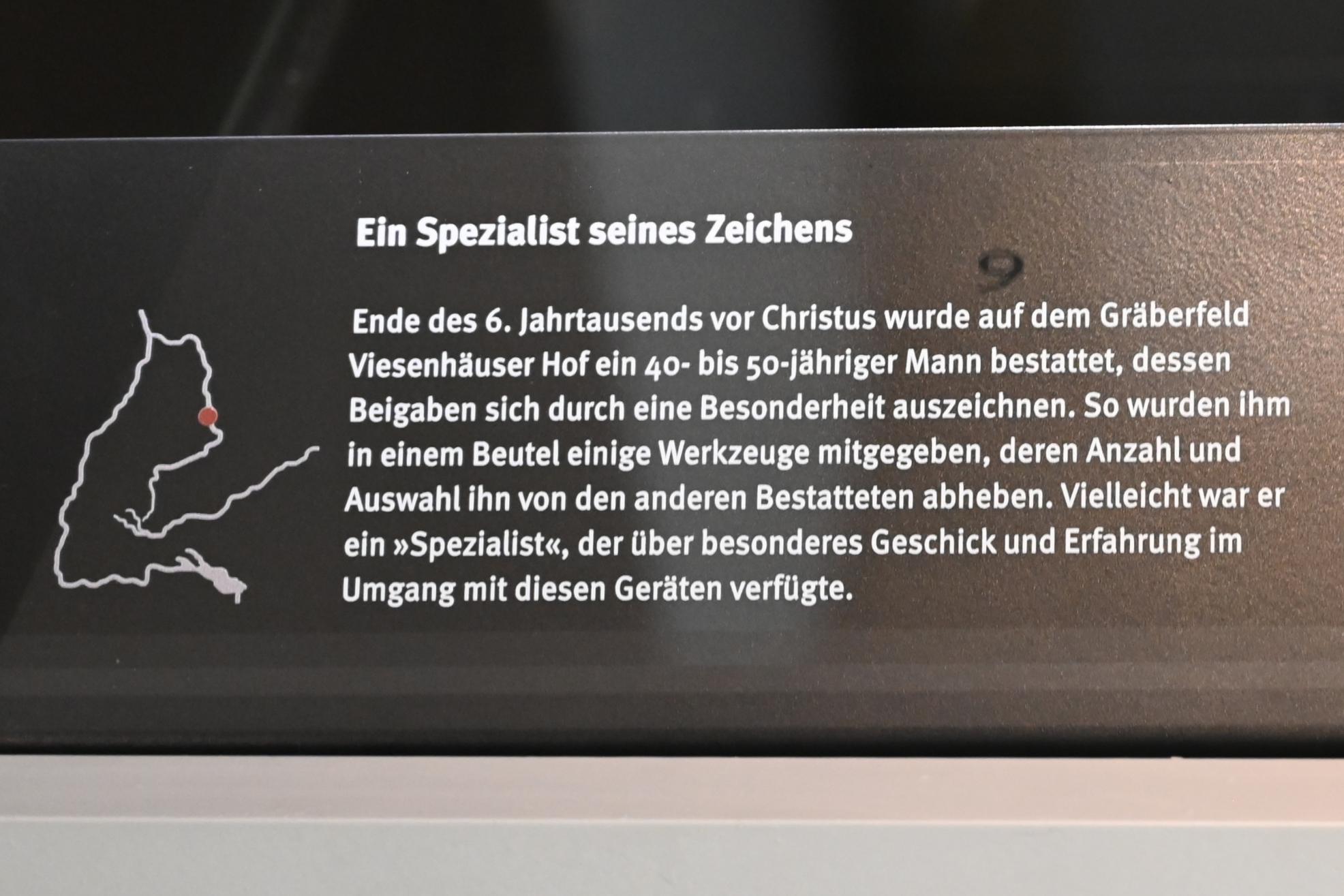 Dechselklinge und zwei Bruchstücke, Neolithikum (Jungsteinzeit), 5500 - 1700 v. Chr., 5200 - 5000 v. Chr., Bild 3/3