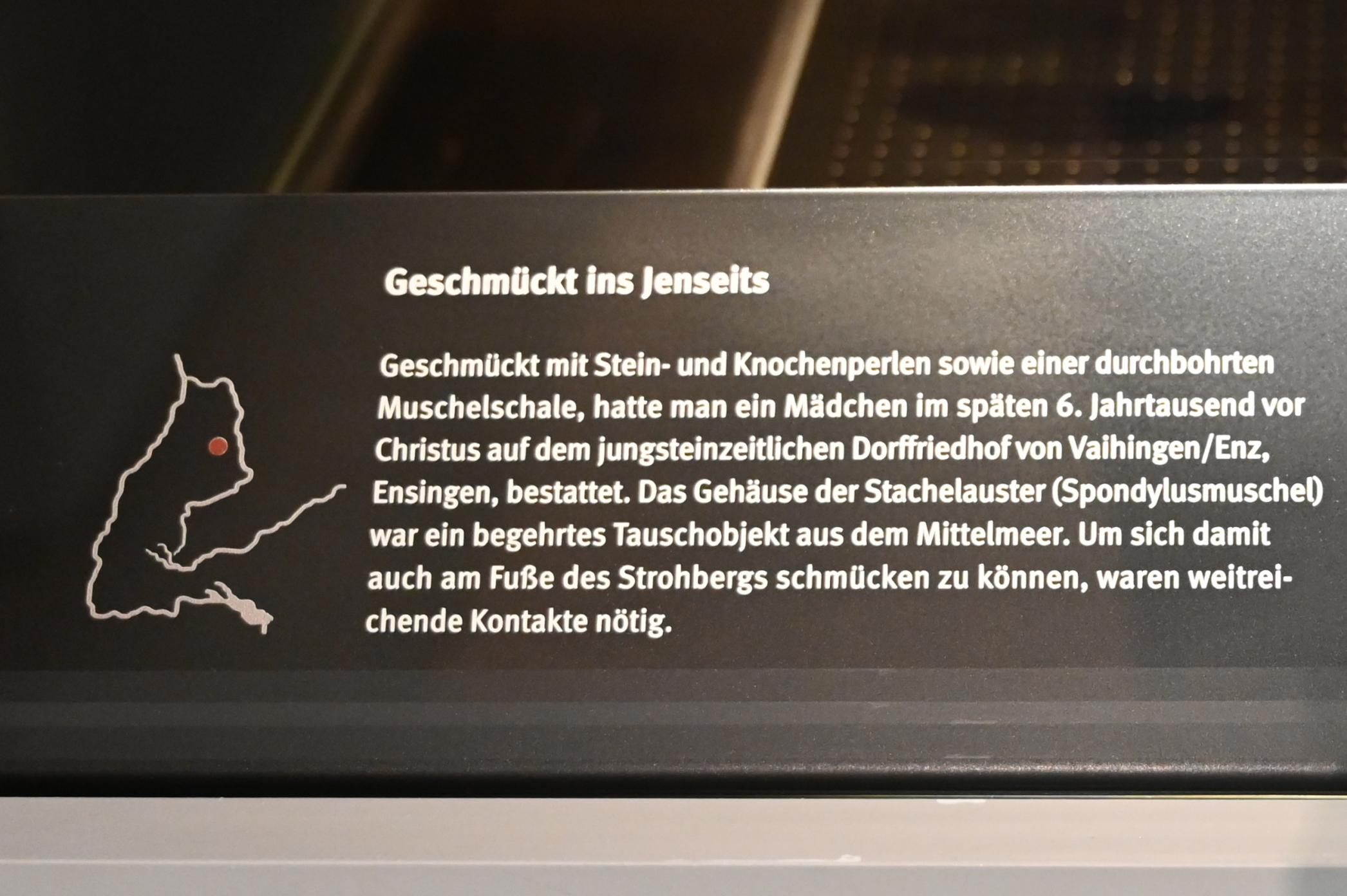 Spondylusmuschel, Neolithikum (Jungsteinzeit), 5500 - 1700 v. Chr., 5100 v. Chr., Bild 3/3