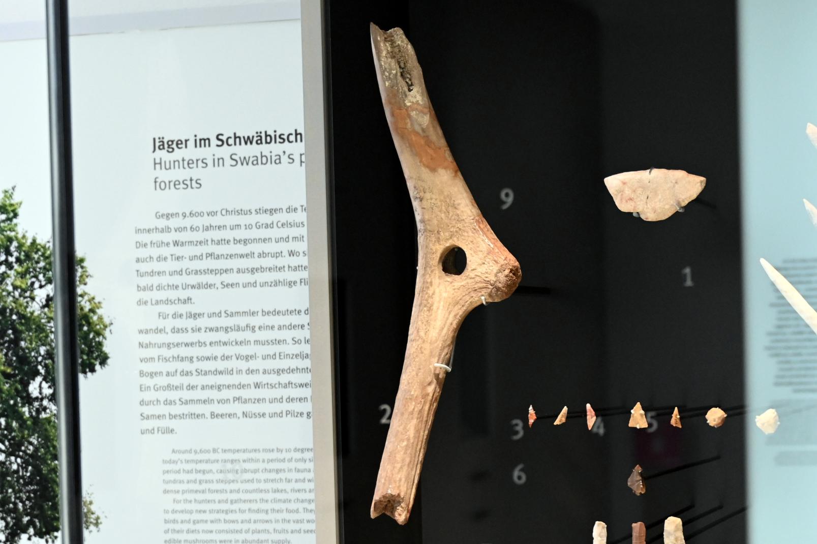 Geweihgerät (wohl ein Lochstab), Mesolithikum, 9500 - 5500 v. Chr., 8000 - 5500 v. Chr., Bild 1/3