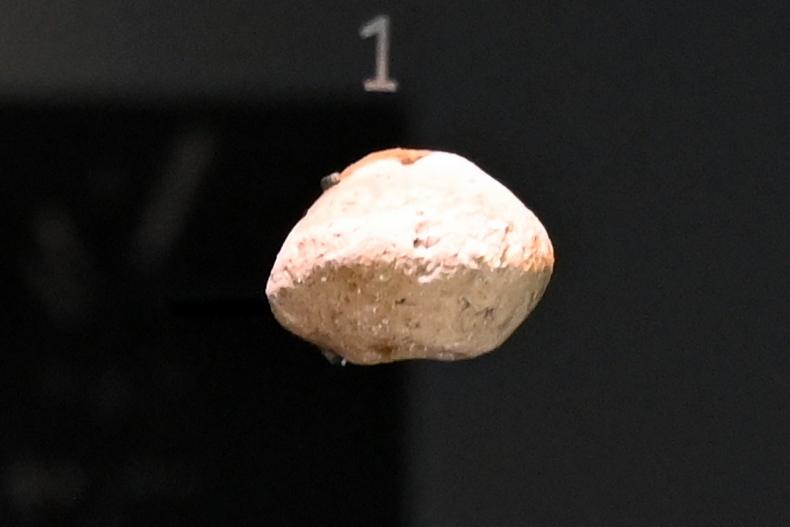 Spinnwirtel, Neolithikum (Jungsteinzeit), 5500 - 1700 v. Chr., 5500 - 5100 v. Chr., Bild 1/3